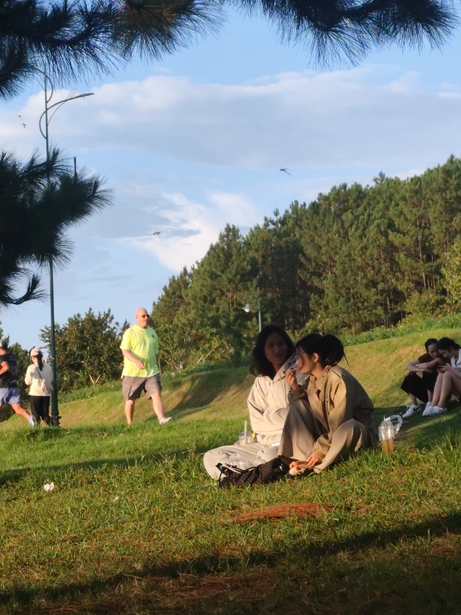In Da Lat, Vietnam, on a grassy slope dotted with pine trees, several individuals are engaged in outdoor activities. In the foreground, two young women are seated on a blanket, one eating and the other looking at her phone. A picnic blanket with drinks and a bag is also present. Further up the slope, a man in a neon yellow t-shirt and grey shorts walks. To his left, a woman in a light-colored jacket and cap is walking. In the background, a dense line of pine trees forms the edge of the landscape, under a light blue sky with scattered clouds. A kite is visible flying in the distance. The overall scene depicts a leisurely afternoon in a park or hillside area.