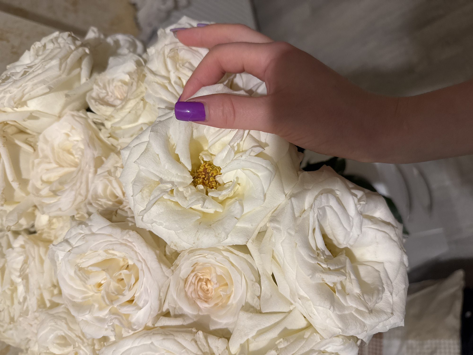 The image shows a close-up of a hand gently touching a bouquet of white roses. The hand has purple nail polish. The roses are densely packed with numerous delicate petals. Some of the roses have a hint of yellow in their centers. The location appears to be indoors. The city is unknown, and the precise location is unknown.