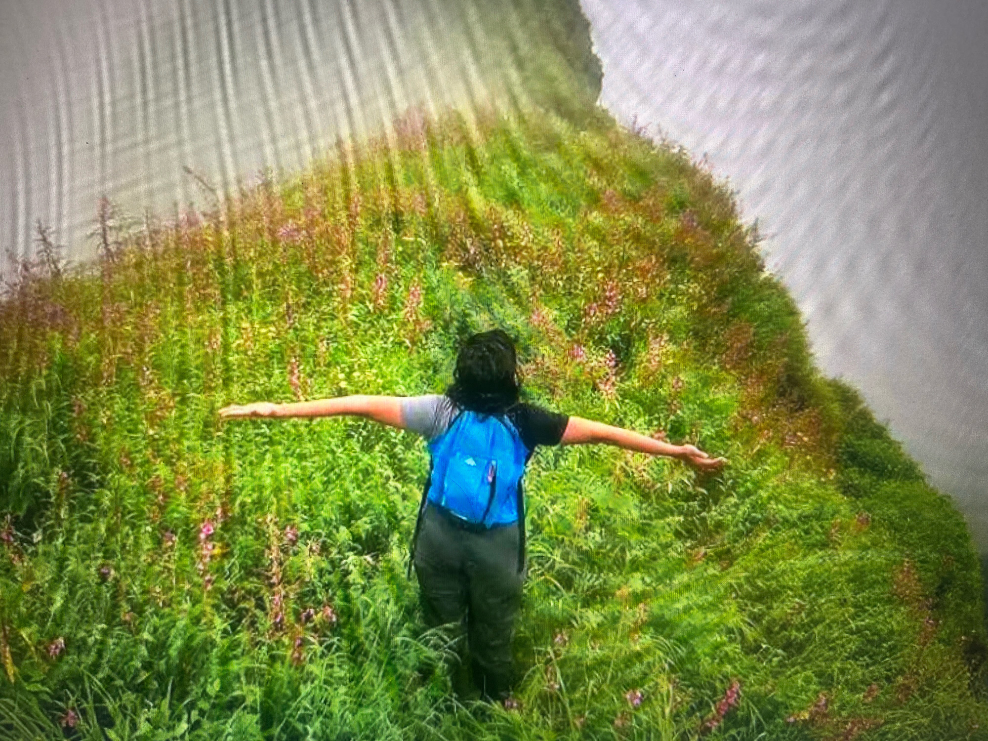 A person with their arms outstretched, wearing a blue backpack, stands in a lush green meadow dotted with small pink flowers. The person is facing away from the camera and appears to be on a hillside. The background is blurred and shows a cloudy or misty atmosphere. The person is wearing a grey and black shirt and dark pants. The location is not identifiable as Kathmandu Metropolitan City, Nepal, or any other specific urban area.