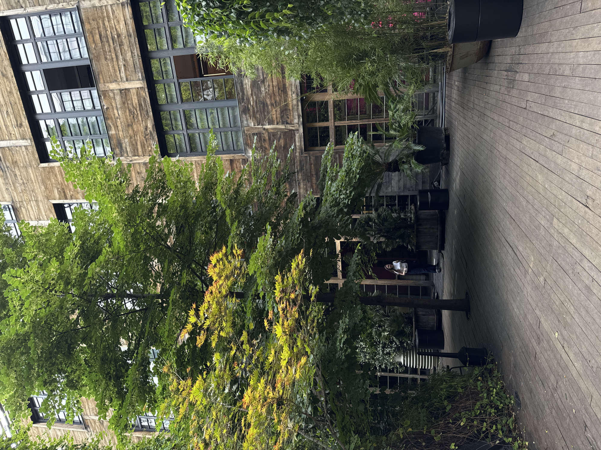The image depicts a courtyard in Tbilisi, Georgia, characterized by a rustic wooden building with large, dark-framed windows. Several trees, including one with vibrant yellow and orange foliage, are situated in the courtyard, some in planters. The ground is covered with weathered wooden planks. A woman, wearing a white top and dark pants, is walking away from the camera towards the building. The atmosphere appears to be serene and green, suggesting a peaceful urban oasis.