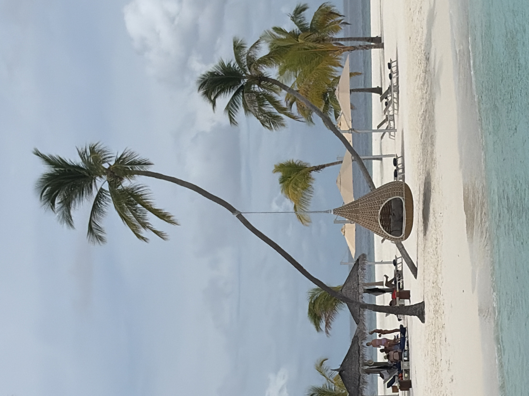 The image depicts a serene beach scene in Halaveli, Maldives. In the foreground, clear turquoise water laps onto a pristine white sandy shore. A leaning palm tree dominates the midground, its trunk arching dramatically over the beach. Suspended from this tree by a rope is a unique, woven hanging chair, its interior appearing to hold a cushion. Further back, several thatched-roof umbrellas provide shade for beach loungers. A group of people are visible near one of these umbrellas, some standing and interacting, while others recline on loungers. Another umbrella shades a few empty loungers. Palm trees are scattered throughout the background, adding to the tropical ambiance. The sky is overcast with scattered clouds.