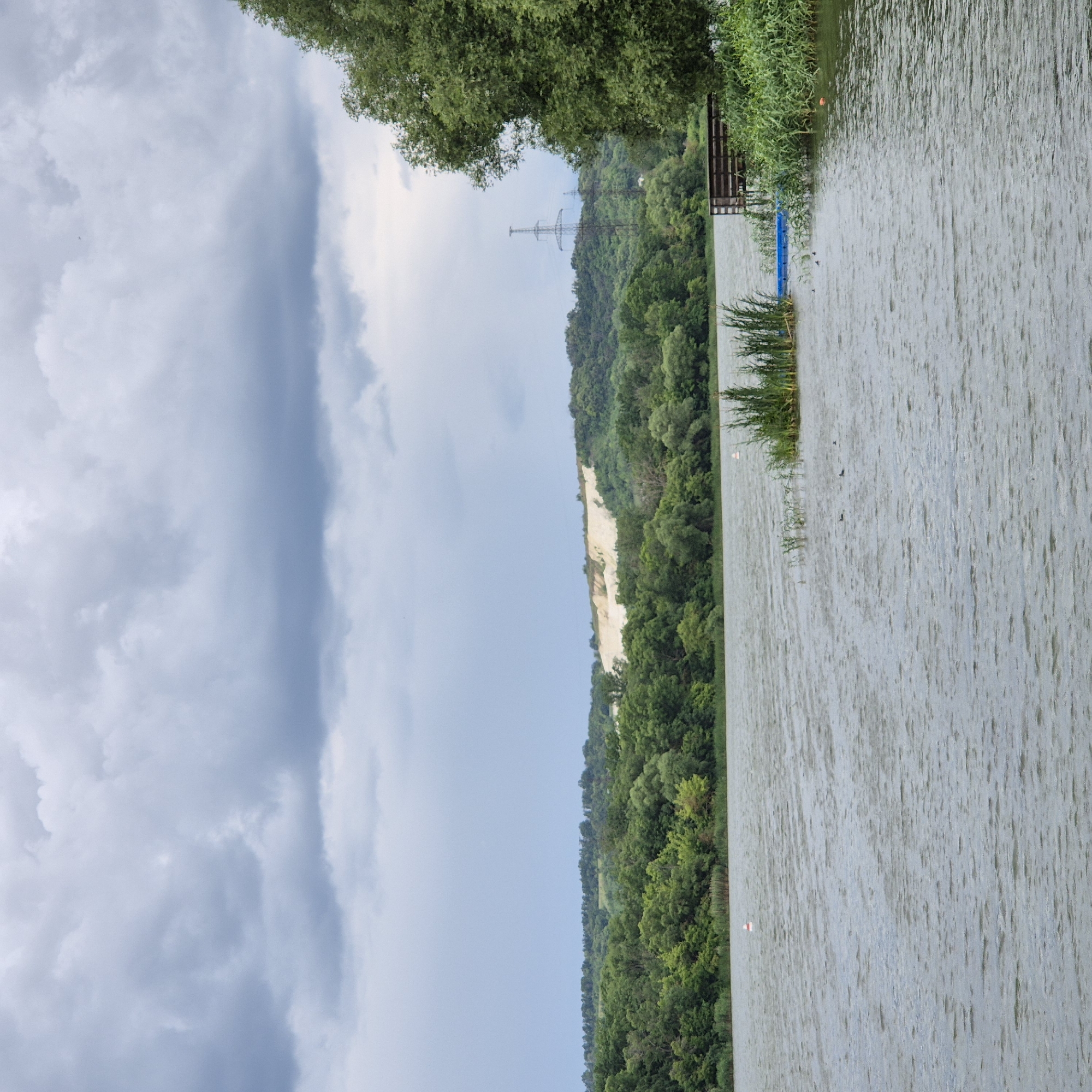 The image depicts a wide, calm river under a cloudy sky. The riverbank is lined with dense green trees, with a lighter-colored, sloped hill in the distance. A power line tower is visible on the horizon. In the foreground, the water shows ripples, and a small wooden dock juts out into the river on the right. Some aquatic plants and reeds are present near the dock. There are a few birds on the water and a red and white buoy further out. A blue inflatable object is partially submerged near the dock. The scene appears to be a natural landscape with some man-made structures. The location is the Don River in Liski, Russia.