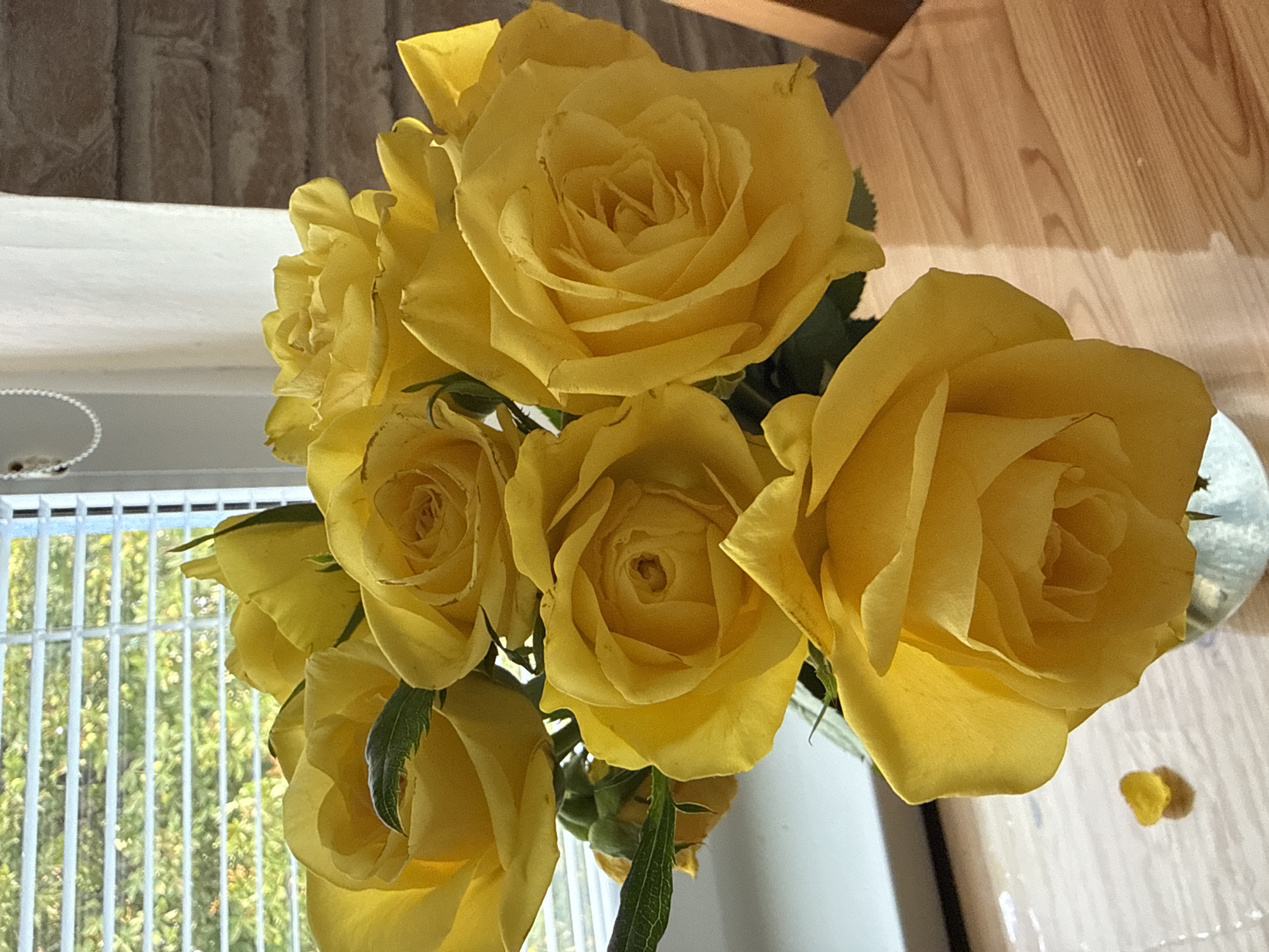 A close-up shot displays a bouquet of bright yellow roses in a glass vase. The roses are the primary focus, with their velvety petals capturing the light. Behind the flowers, a window with horizontal blinds is visible, offering a blurred view of green foliage and dappled sunlight. The lower portion of the image shows a light-colored wooden surface, likely a table, on which the vase rests. To the left of the vase, a single fallen yellow rose petal lies on the table. The scene appears to be indoors, possibly in a home or a cafe, with a brick wall texture subtly visible in the upper right corner. The overall impression is one of natural beauty and soft lighting. There is no discernible location in Tachov, Czechia, that can be identified from the image.