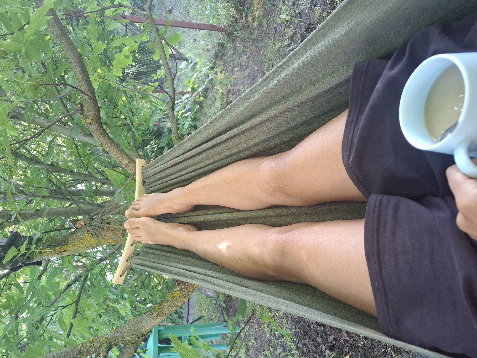 A first-person perspective view shows a person's legs and feet resting in a green hammock outdoors. The hammock is suspended between two tree branches. The person is wearing dark shorts. In the lower right corner, a light blue mug with a beverage, likely coffee with milk, is visible, held by a hand. The background reveals a garden or yard with trees, foliage, and a wire fence. The lighting suggests it is daytime. The location in Khlevnoye, Russia, is noted.