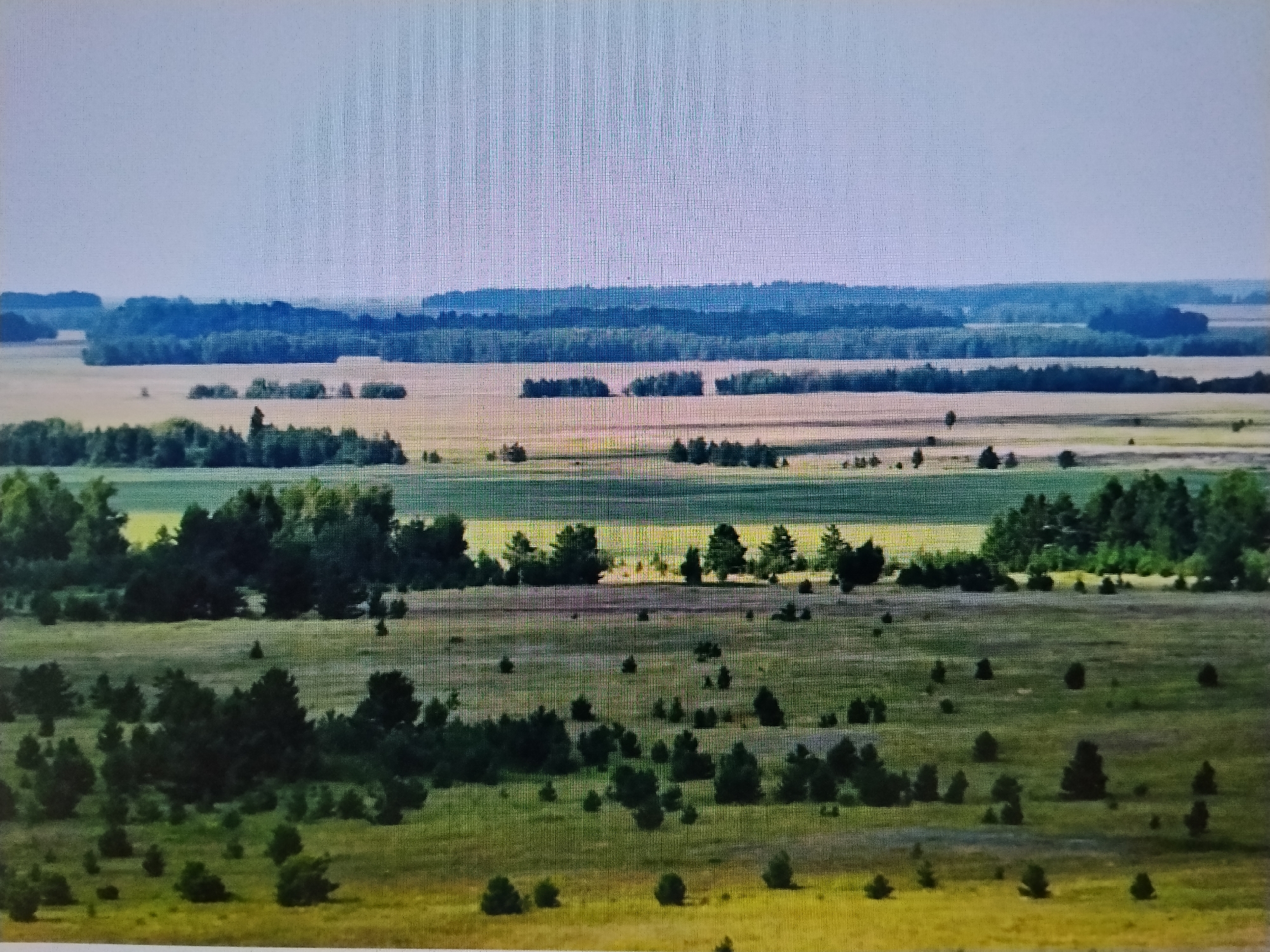 An aerial, horizontal shot captures a vast, rolling landscape under a hazy, pale sky. The scene is dominated by a mosaic of agricultural fields and scattered patches of trees. In the foreground, a sprawling meadow is dotted with numerous small, dark green coniferous trees and shrubs. Further back, a band of denser trees forms a dark green line, separating the meadow from lighter-colored fields. Beyond these fields, a series of distant, darker green treelines stretch across the horizon, layered to suggest depth and distance. The fields themselves appear to be various shades of green and light brown, indicating different crops or stages of growth. The overall impression is of a rural, undeveloped area, likely in Kazakhstan, given the reference to the city of Talqar. There are no people or discernible structures visible in the image.