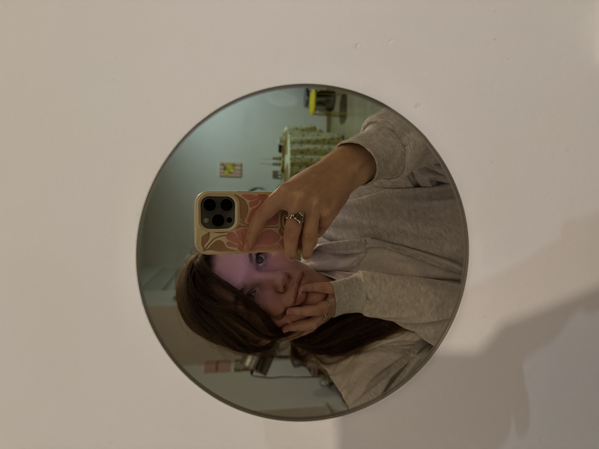 A young person is taking a selfie in a round mirror mounted on a white wall. The person is holding an iPhone with a floral case. The reflection shows the person with brown hair, blue eyes, and wearing a gray sweater. The background visible in the mirror is blurry, showing a room with a shelf containing various items and a flag. The location appears to be indoors. There is no indication of this image being in the city of Vozdovac Urban Municipality, Serbia.