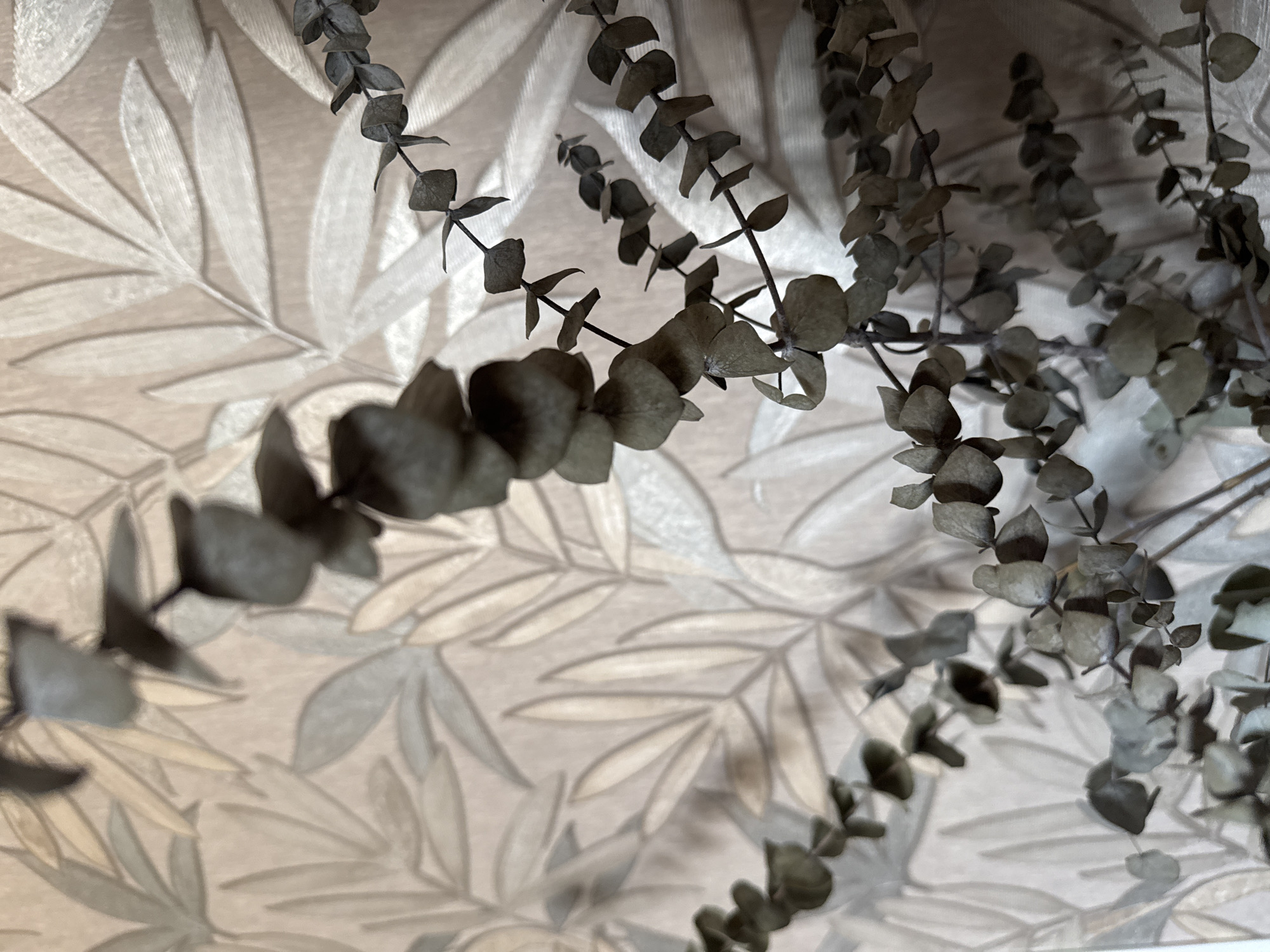In Bishkek City, Kyrgyzstan, a close-up, low-angle shot captures dried eucalyptus branches against a textured, patterned background that resembles wallpaper with stylized leaves. The branches, dark and muted in color, are arranged in a diagonal flow across the frame, their small, rounded leaves creating a delicate, almost lace-like effect. The background features a subtle, embossed pattern of pale, elongated leaves in shades of cream and light gray, set against a peachy-pink base. The lighting is soft, casting faint shadows that enhance the textural qualities of both the branches and the background. The composition is shallow in depth of field, with the foreground branches in sharp focus and the background elements softly blurred, creating a sense of depth and emphasizing the intricate details of the dried foliage. There are no people or animals present in the scene. The environment appears to be indoors, possibly a room in a home or a commercial space decorated with this distinctive wallpaper.