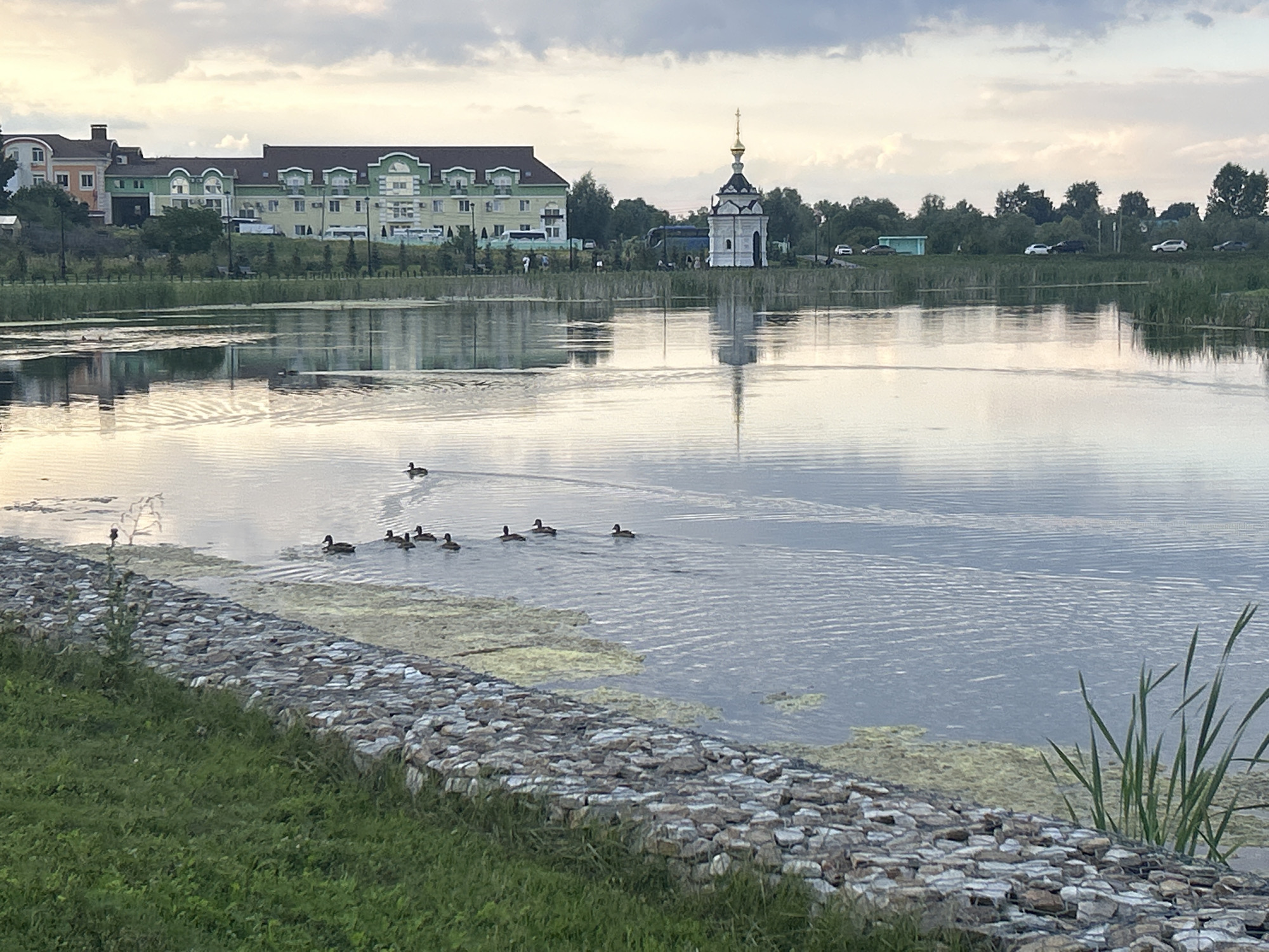 The image depicts a tranquil scene at the Holy Kanavka waterway in Diveyevo, Russia, during twilight. The foreground features a grassy bank leading to a gabion wall constructed with various sizes of grey stones. Beyond the wall, the calm water of the waterway reflects the overcast sky and the surrounding landscape. Several ducks are visible swimming in a line across the water, leaving gentle ripples in their wake. In the middle ground, a line of reeds and aquatic plants grows along the water's edge. Across the waterway, a multi-story building with a light green facade and a brown roof is prominent, with windows reflecting the soft light. To the right of the building, a small, white Orthodox church with a dark roof and a golden dome stands against the tree line. The background consists of a dense row of green trees, with a few scattered buildings and cars visible along a road in the distance. The sky is filled with soft, grey clouds, suggesting the late evening or early morning.