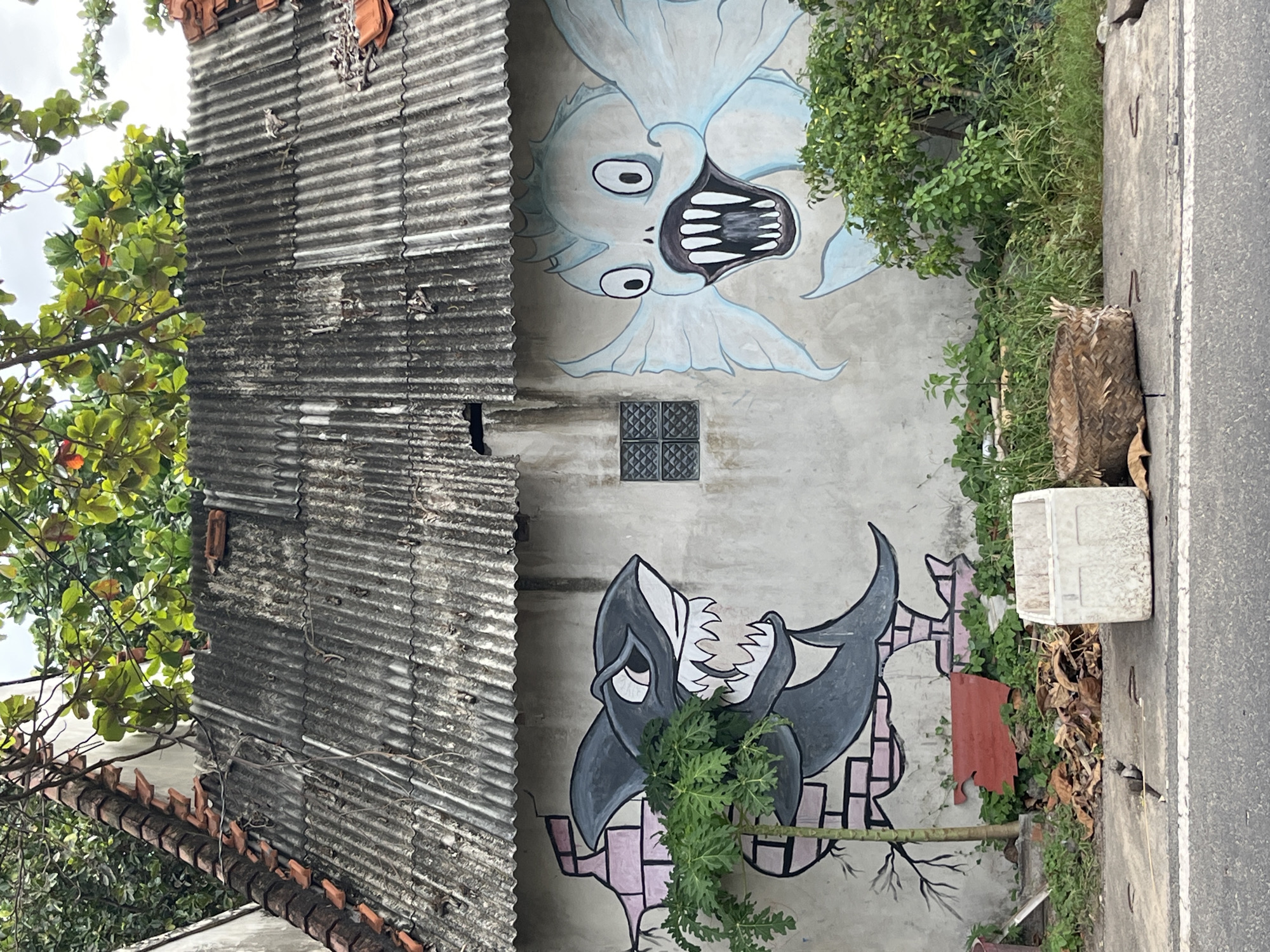 The image depicts a weathered, corrugated metal roof on an old building in Kuta Selatan, Indonesia. Below the roof, a concrete wall features vibrant graffiti artwork of two cartoonish sea creatures facing each other. On the left, a gray shark with sharp teeth and an angry expression is depicted breaking through a pink brick wall. On the right, a pale blue, fish-like creature with large eyes and an open mouth full of teeth is shown.
In front of the wall, a patch of lush green foliage grows, obscuring part of the shark mural and reaching up towards the roof. A small, thin tree trunk with sparse branches is visible to the left of the shark. On the ground, a red, irregular-shaped piece of material rests against the wall.
The foreground shows a paved surface, likely a sidewalk or road, with a white painted line. To the right of the foliage, a woven basket sits on the pavement, and to its right, a white plastic container. Scattered dry leaves are present on the ground. The overall scene suggests an outdoor environment in a tropical or subtropical climate, with a sense of age and a touch of artistic expression on an otherwise unremarkable structure.