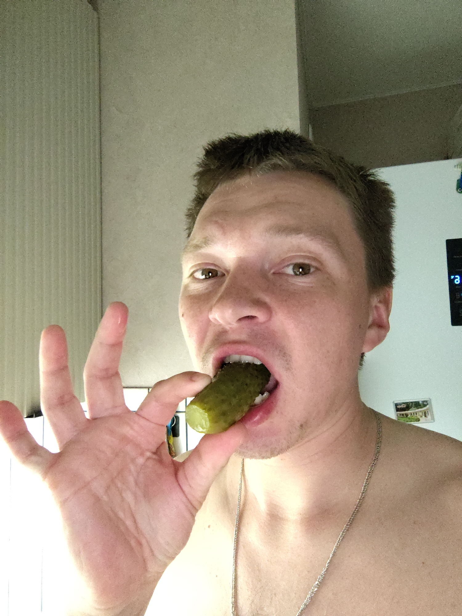 A shirtless man is pictured at close range, holding a pickle with his left hand and positioning it in his mouth. He is wearing a silver chain around his neck. Behind him is a refrigerator with a digital display. To the left, there is a textured wall. A small, framed picture is affixed to the refrigerator. The picture was taken in what appears to be a kitchen. There is no verifiable evidence indicating that this image was taken in Марковский, Russia.