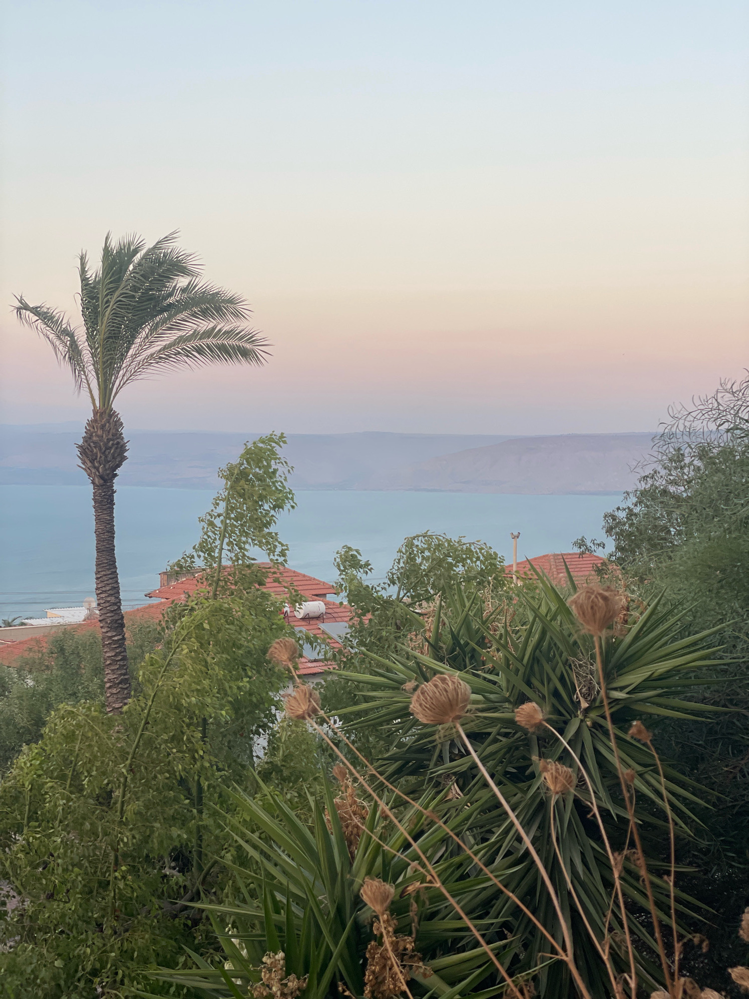 The image shows a serene view of the Sea of Galilee from Tiberias, Israel, at dusk. In the foreground, lush green vegetation, including a tall palm tree, a spiky yucca plant, and other leafy plants, dominates the scene. The red-tiled roofs of houses are visible through the foliage. The Sea of Galilee, a large body of turquoise water, stretches across the middle ground, with hazy hills forming the distant horizon. The sky above transitions from a pale blue at the top to a soft pink and orange gradient near the horizon, indicative of a sunset or sunrise. The lighting suggests the late evening or early morning. No people are present in the image, and there are no discernible actions or interactions taking place. The overall atmosphere is peaceful and natural.