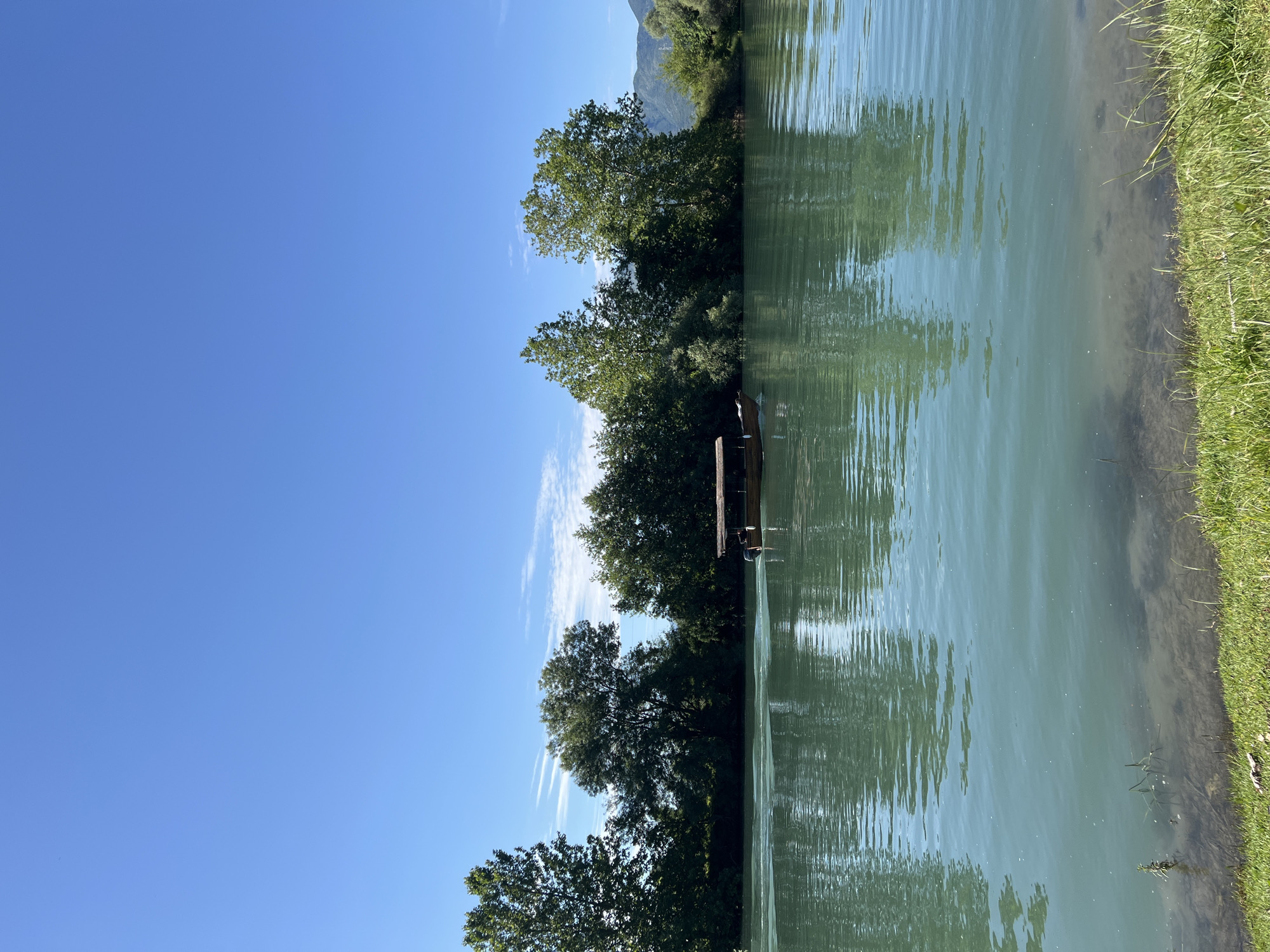 The image depicts a serene outdoor scene in Vranjina, Montenegro, under a clear blue sky with sparse, wispy white clouds. A wide body of water, possibly a river or lake, occupies the mid-ground, characterized by its distinct light turquoise-green color and gentle surface ripples that reflect the sky and surrounding trees. A single, wooden boat with a dark brown canopy structure is observed moving from left to right across the water, propelled by a visible outboard motor at its stern, creating a small wake. At least one individual is partially discernible within the stern section of the boat.
The far bank of the water body is densely covered with a variety of lush green deciduous trees and bushes, forming a continuous line across the horizon. Beyond these trees, subtle outlines of distant mountains or hills are visible, particularly towards the right side of the frame. The near bank, in the foreground, is characterized by vibrant green grass, partially illuminated by sunlight. The immediate shoreline where the water meets the land reveals clear, shallow water with visible submerged sediment and some aquatic vegetation. The overall lighting suggests a bright, sunny daytime environment.