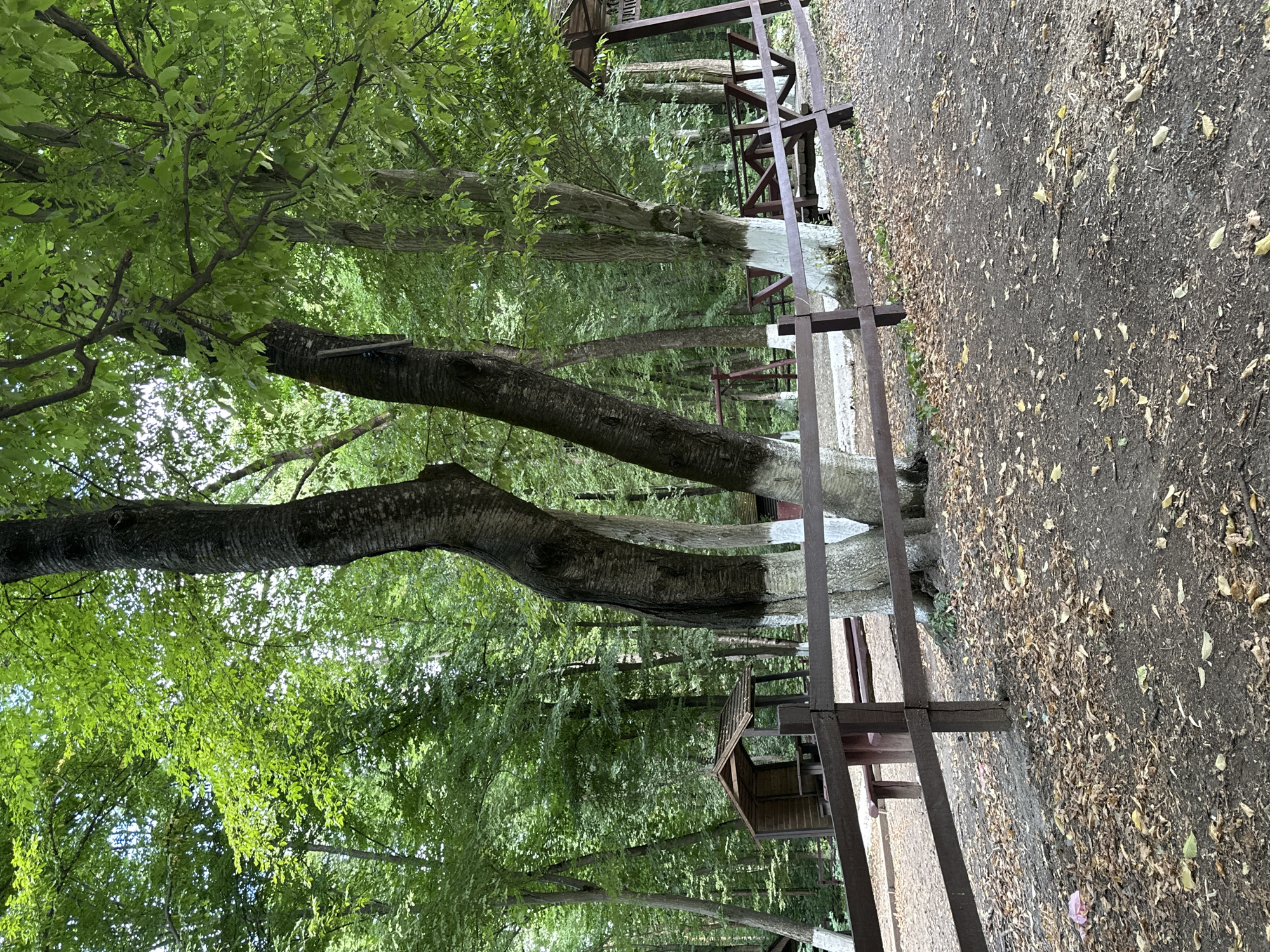The image depicts a wooden fence in a park area in Shatava, Ukraine. The fence is made of dark brown wood and has horizontal planks. Behind the fence, there are trees with green foliage and some fallen leaves on the ground. In the background, there are two small wooden structures, possibly gazebos or shelters, and what appears to be a swing set. The ground is covered with dirt and leaves. Some of the trees have white paint applied to their lower trunks. The overall scene is that of a natural outdoor recreational space.