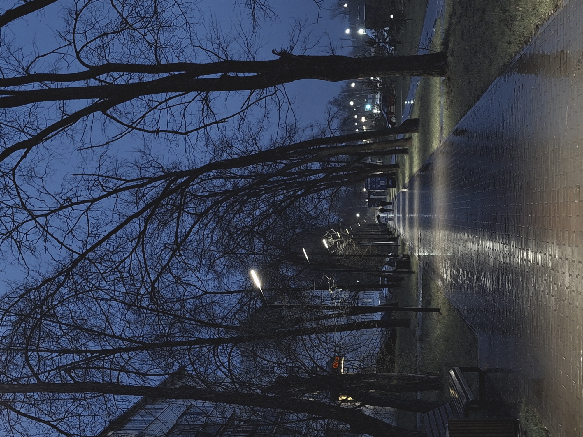 The image captures an outdoor scene at dusk or dawn in Chaikovsky, Russia, characterized by a cool, dark blue sky and a wet, reflective pathway. Numerous bare-branched trees, stripped of their leaves, line both sides of the paved promenade, their dark silhouettes sharply defined against the twilight sky.
The pathway, likely constructed from bricks or pavers, glistens with recent rain, reflecting the bright, elongated lights from several modern streetlights installed along its length. These reflections create streaks of light across the wet surface, guiding the eye into the distance. Patches of green grass are visible between the trees and beside the path.
In the background, hints of urban infrastructure can be seen, including dimly lit buildings and the faint outlines of cars parked or driving on a distant road. Small figures, likely people, are visible walking along the pathway in the distance, suggesting a quiet activity in the early morning or late evening. A wooden park bench is situated beneath one of the trees, offering a resting spot.
A notable detail is a red sign with white lettering, possibly displaying "DNS" (a common electronics retailer in Russia), visible amidst the trees in the mid-ground. The overall mood is serene and quiet, with the artificial lights providing warmth against the cool, damp environment.