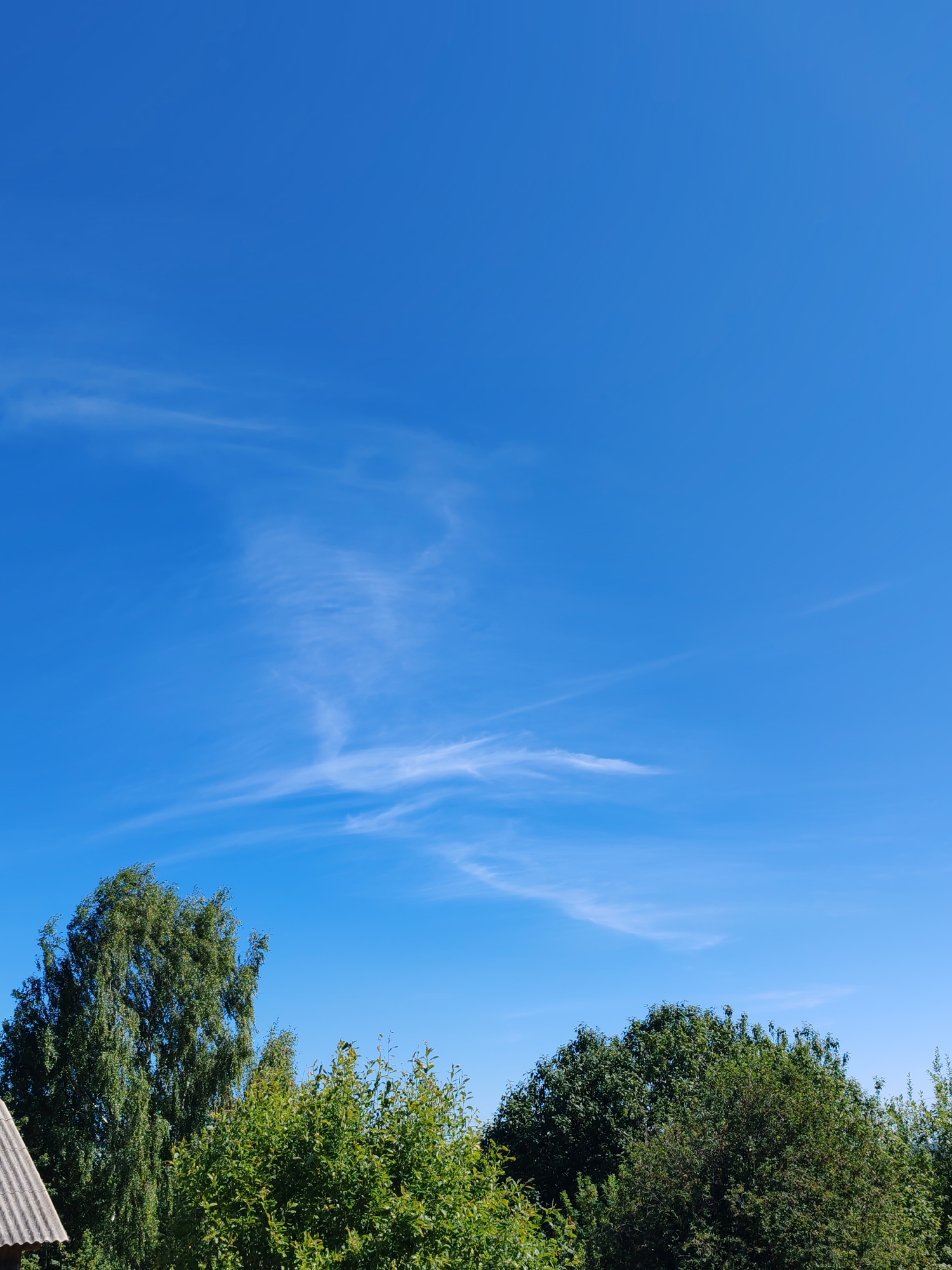 A wide, low-angle shot captures a vibrant blue sky with wispy white cirrus clouds stretching across it. In the lower third of the frame, a dense line of lush green trees and foliage forms a natural border against the sky. A portion of a grey, corrugated roof of a building is visible in the far left foreground, suggesting an outdoor setting in a rural or suburban area. The scene appears to be set in Чухлэм, Russia, with the natural landscape dominating the view under a clear, bright sky.