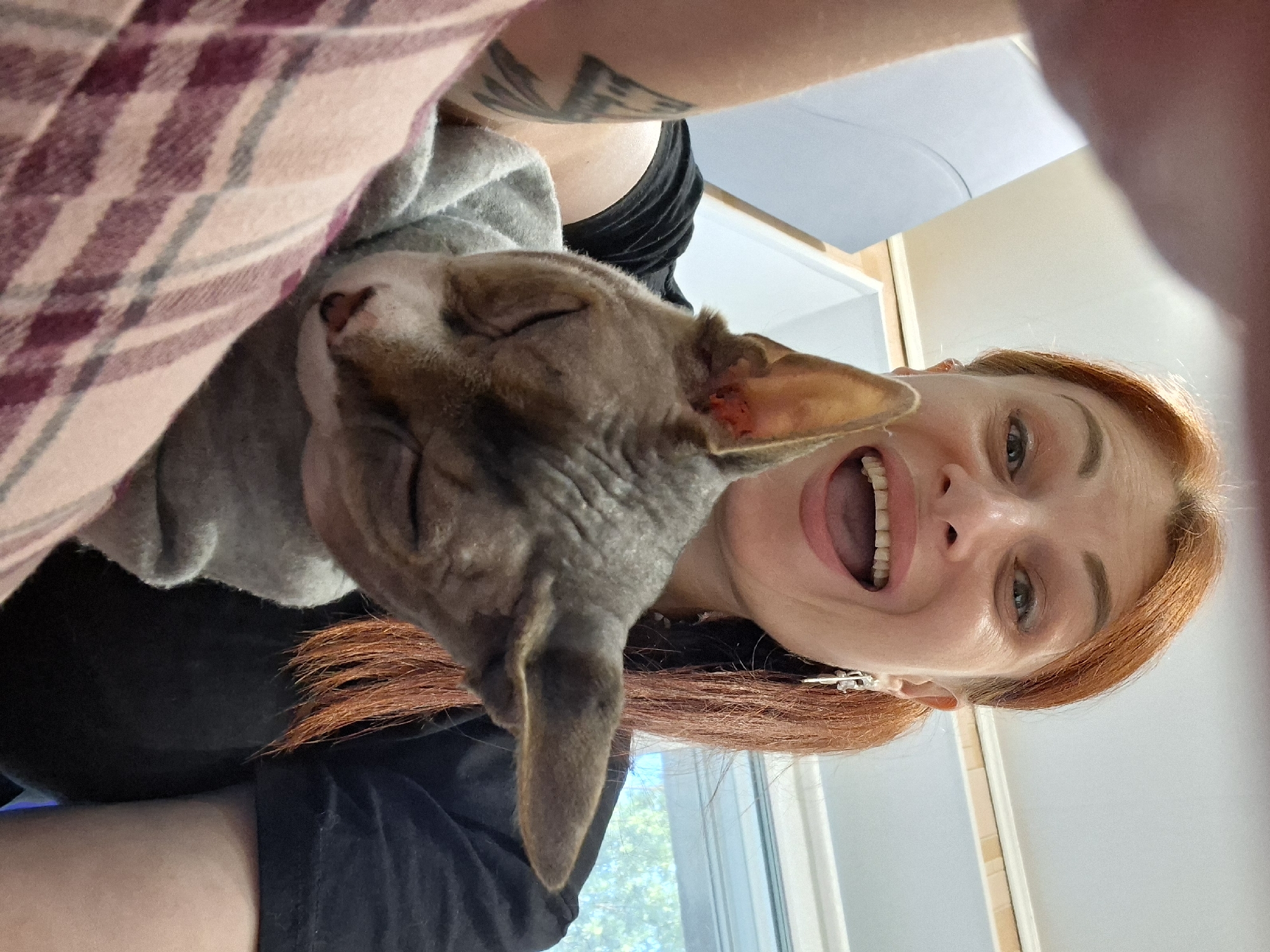 In a brightly lit interior, a woman with vibrant red hair pulled into a ponytail is taking a selfie, holding a hairless cat wrapped in a gray blanket. She is smiling broadly, her mouth open in an excited expression, revealing her teeth. The cat, with its eyes closed and head resting on the woman's shoulder, appears sleepy or content. The woman wears a black t-shirt and patterned leggings, and a tattoo is visible on her left arm. The background shows a window with greenery visible outside, suggesting a residential setting. The overall scene conveys a sense of affection and casual intimacy between the woman and her pet, likely within a home environment in Myadzyel, Belarus.