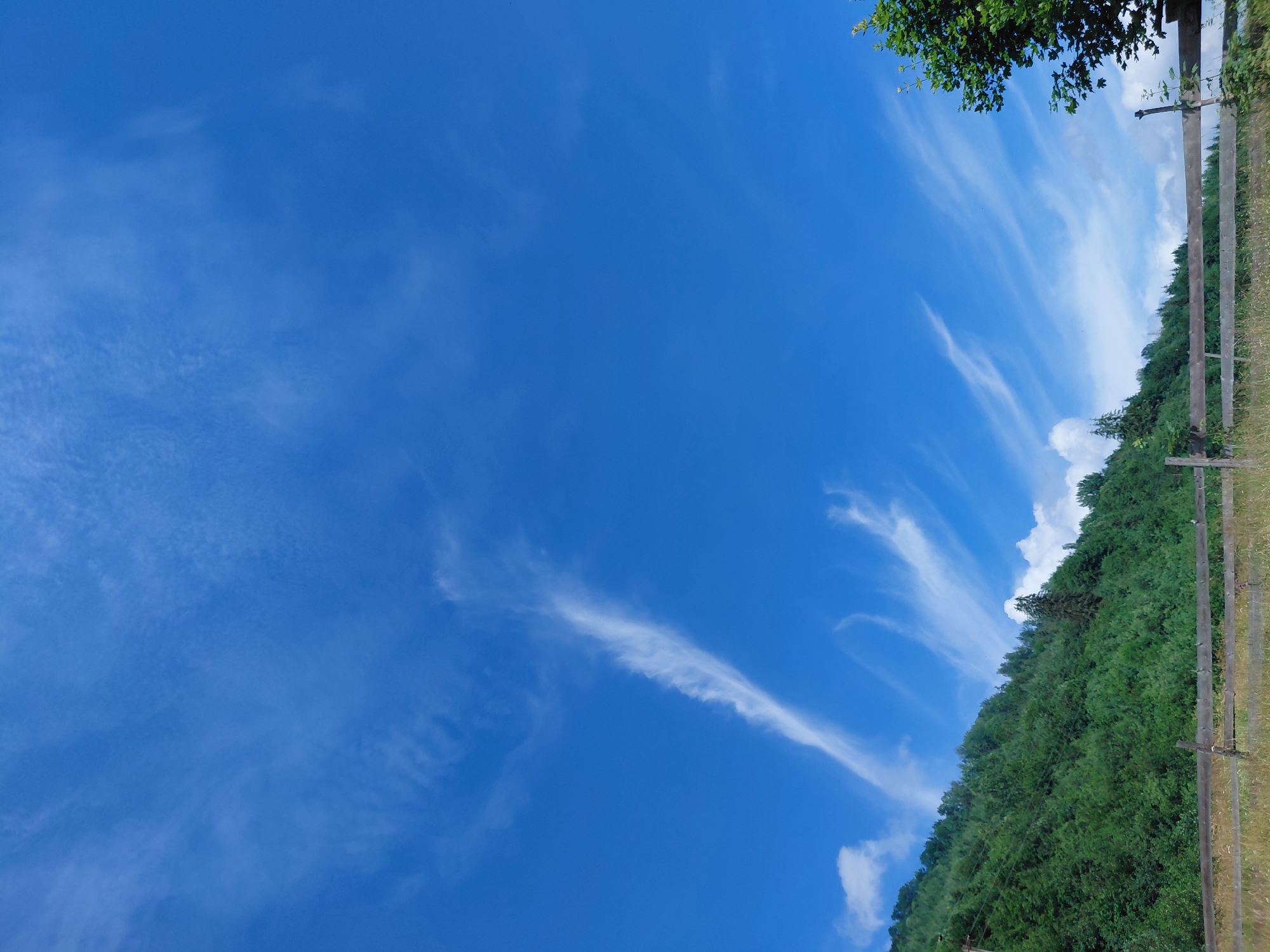 This is a photograph of a rural landscape under a bright blue sky. In the foreground, a weathered wooden fence runs horizontally across the frame. Beyond the fence is a grassy field with some wildflowers. The background is dominated by a lush green, densely forested hillside. The sky is a vibrant blue, with wispy white clouds streaking across it. The image appears to have been taken on a clear, sunny day. The location is identified as Chernyk, Ukraine. There are no people or animals visible in the scene. The overall impression is one of natural beauty and tranquility.