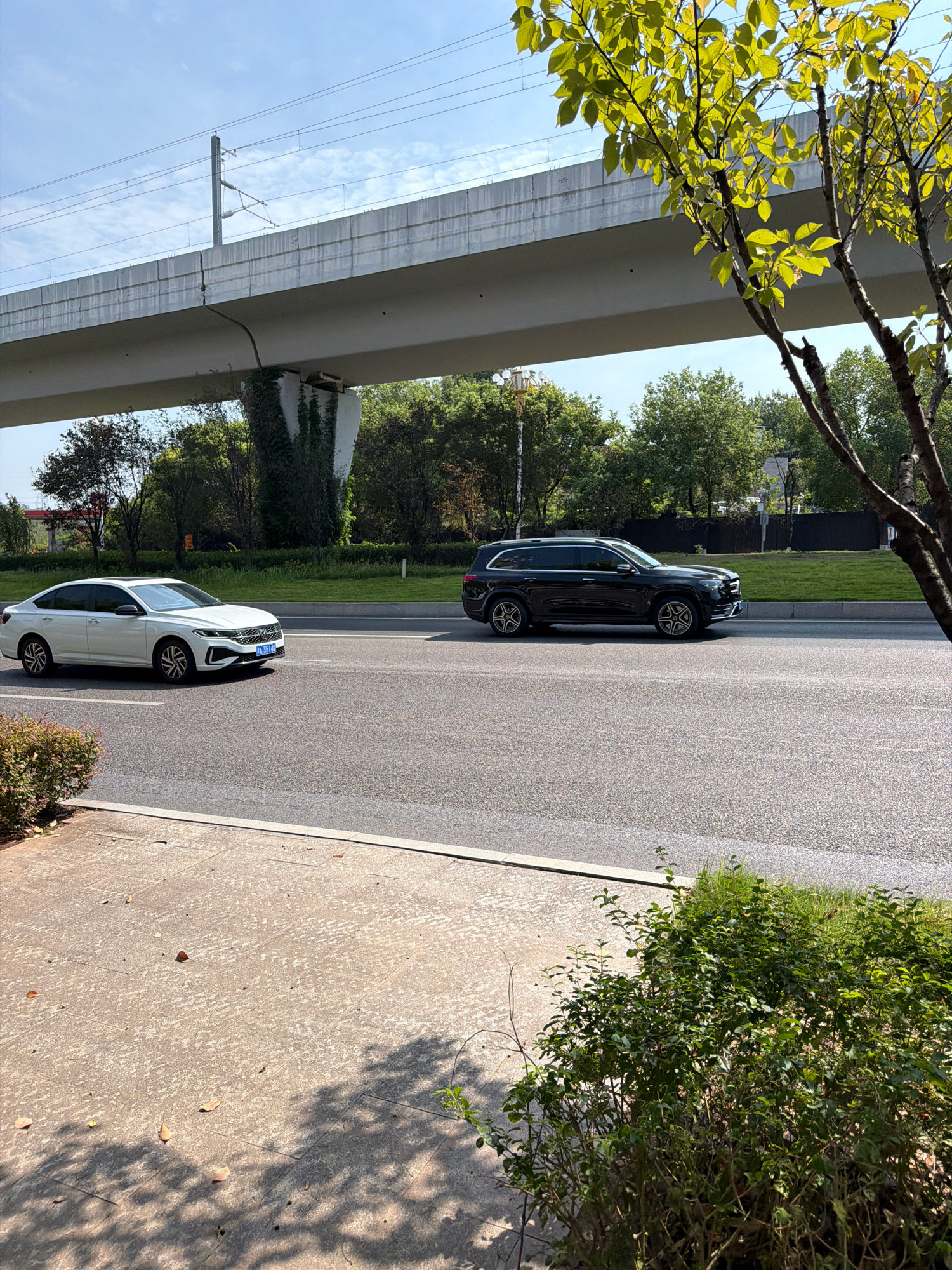 In the city of Jiangjin, China, on a clear day, a white sedan is driving on a paved road. To the right of the white sedan, a dark-colored SUV is also driving on the same road. In the background, an elevated structure, possibly a bridge or overpass for a railway, spans across the scene. The overpass is supported by concrete pillars, one of which is partially covered in green ivy. Trees and lush vegetation line the sides of the road, with the leaves of a nearby tree casting dappled shadows on the ground in the foreground. The road surface is asphalt, and a sidewalk made of concrete tiles is visible to the left. The sky is blue with scattered white clouds.