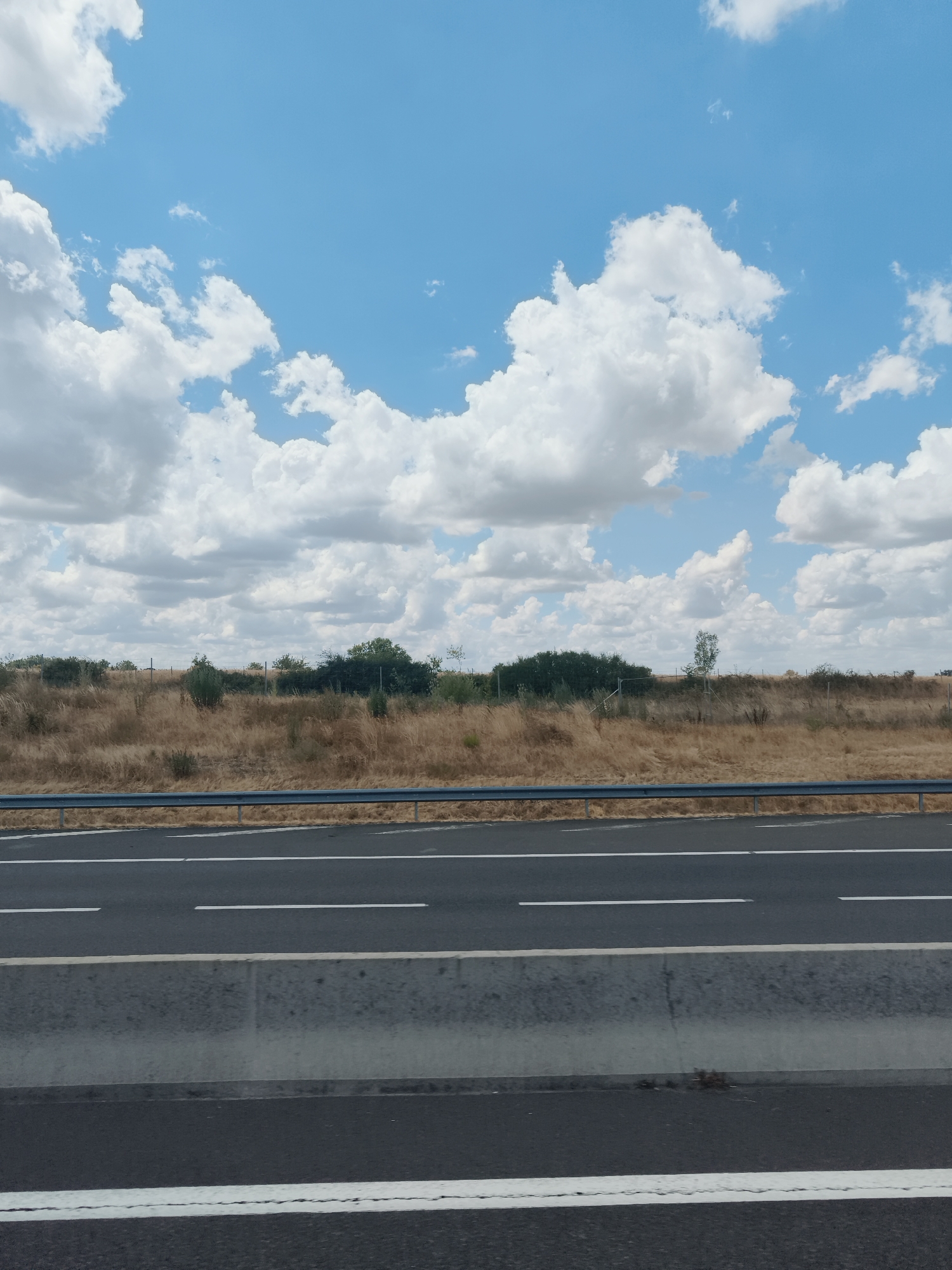 The image captures a highway scene under a bright, cloudy sky. The foreground is dominated by the asphalt of the road, marked with white lines indicating lanes. A concrete barrier separates the lanes from the shoulder. Beyond the road, a wide expanse of dry, golden grass stretches towards a line of green trees and shrubs. The sky above is a vibrant blue, dotted with fluffy white cumulus clouds, suggesting fair weather. The sun appears to be high in the sky, casting bright light on the scene, indicative of daytime. There is no visible text in the image. The scene appears to be located in a rural or semi-rural area, characteristic of the landscape found in Diou, France, with its open fields and roads. No people or specific activities are depicted, giving the image a sense of stillness and journey.