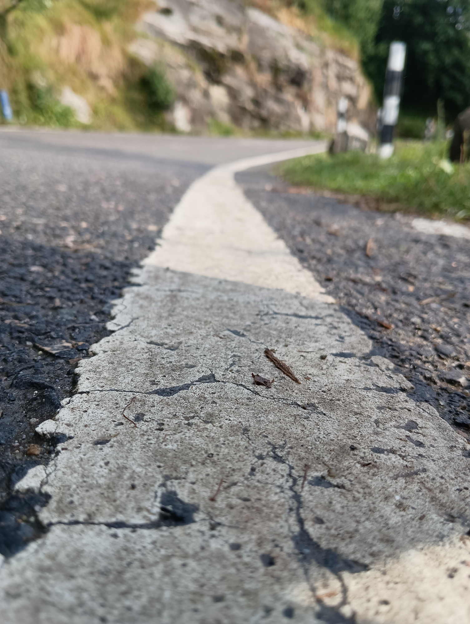 A low-angle, close-up shot captures a cracked asphalt road with a white line dividing the lanes. The road curves to the right, leading into a hilly, green landscape. A few small pieces of debris, possibly twigs, lie on the road's surface. In the background, a steep, rocky hill rises on the left, covered in sparse vegetation. On the right, a black and white striped pole stands near the roadside, suggesting a marker or sign. The overall scene depicts a rural or mountainous road in Goshal, India, under daylight.