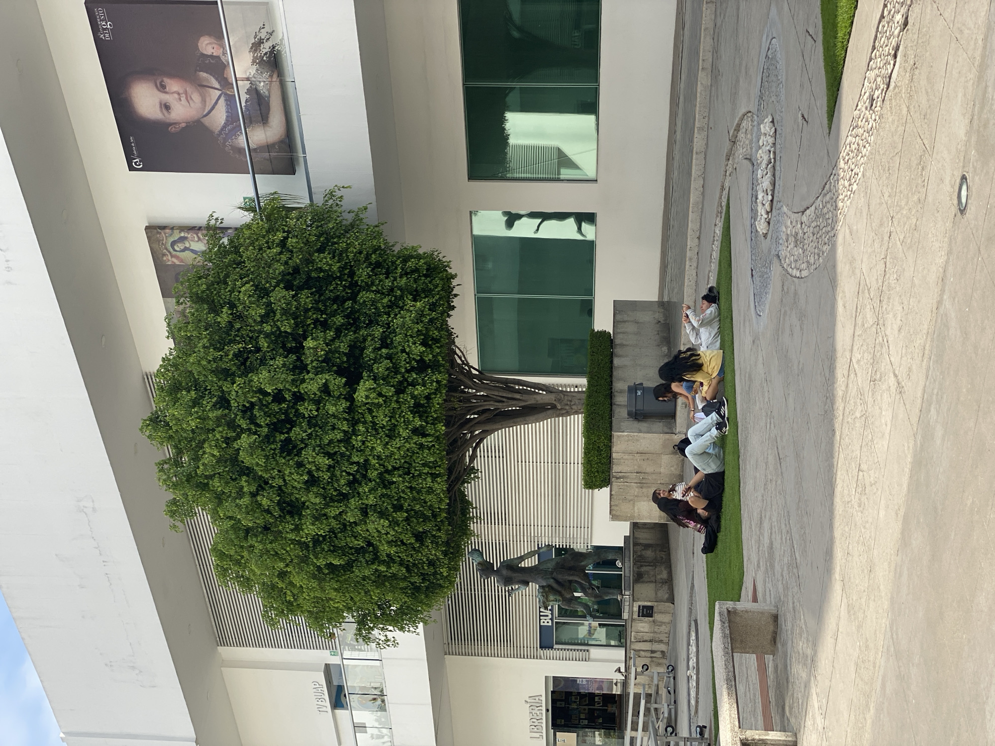 The image shows an outdoor scene in an urban environment. A large, mature tree dominates the left side of the frame, its dense green canopy contrasting with the surrounding white buildings. Below the tree is a statue. To the right of the tree, a group of people are sitting on the ground, some appearing to be using electronic devices. The ground is a combination of concrete and grass, with a decorative pebble design. The buildings in the background have large windows, reflecting the environment. Signage with the text "BUAP" and "Libreria" is visible on the lower part of the buildings. Additional artwork is displayed on the upper levels of the buildings.