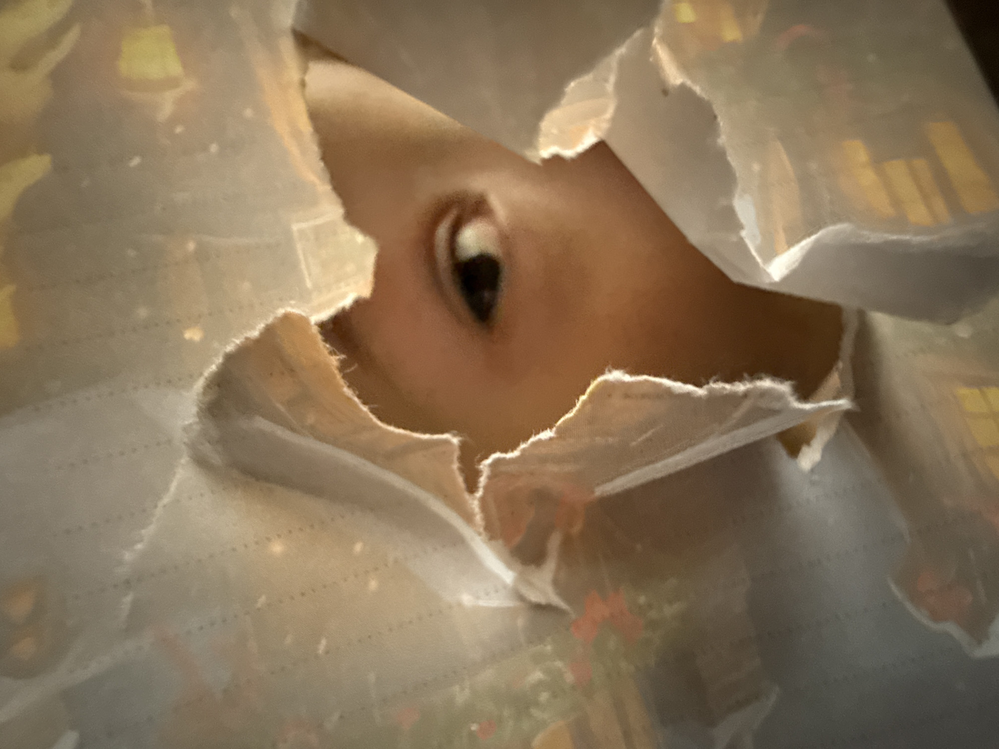 A close-up image captures a person's eye and a portion of their face peering through an irregular, torn opening in a translucent, light-colored material. The visible skin tone is light. The dark eye, with its clear pupil and visible white, suggests a gaze of curiosity or observation. The surrounding material, likely paper or thin fabric, displays rough, feathery torn edges and has a subtle pattern of faint dashed lines across its surface.
Through the translucent material and the torn aperture, the background appears as soft, out-of-focus, warm-toned shapes and light reflections. These blurry elements suggest an indoor setting with diffused or artificial lighting. No specific time of day, weather conditions, or identifiable location cues are discernible from the image itself. There is no visible text. The overall scene focuses intensely on the act of looking or being observed through an unexpected barrier.