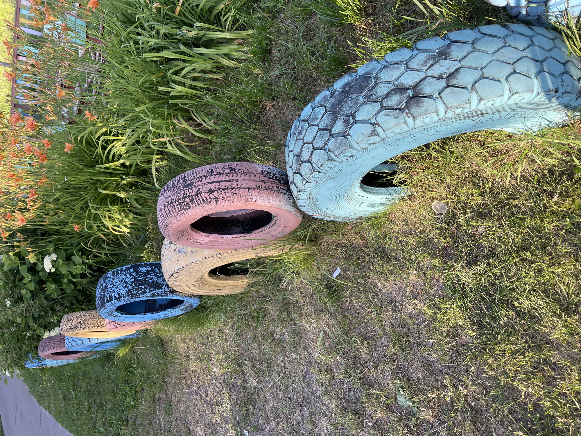 The image shows a line of colorful, painted tires placed on a grassy slope. The tires are various shades of blue, pink, and yellow, and they appear to be repurposed as a border or decorative element. Behind the tires, there is a dense growth of green grass and some orange flowers, possibly lilies. The sunlight suggests it is daytime, and the scene appears to be outdoors in a natural setting. The tires are the primary objects of focus, arranged in a diagonal line stretching from the foreground to the background. No people are visible. The overall impression is one of a rustic or handmade garden feature.