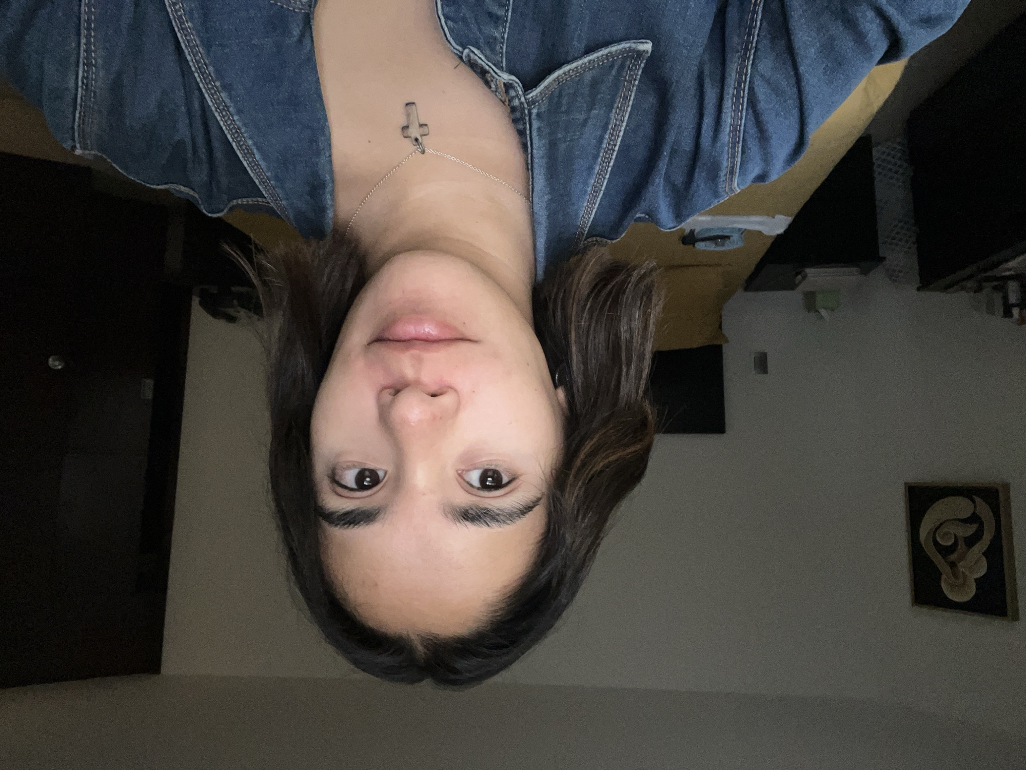 A selfie-style photograph presents a person with brown hair and eyes. The person is wearing a blue denim jacket and a silver necklace with a cross pendant. The location is indicated as San Bernardino Tlaxcalancingo, Mexico, which can be assumed based on image metadata or context. The background features a dark door and a wall with a framed artwork. A shelf unit and other items are faintly visible in the background. The image has been rotated 180 degrees.