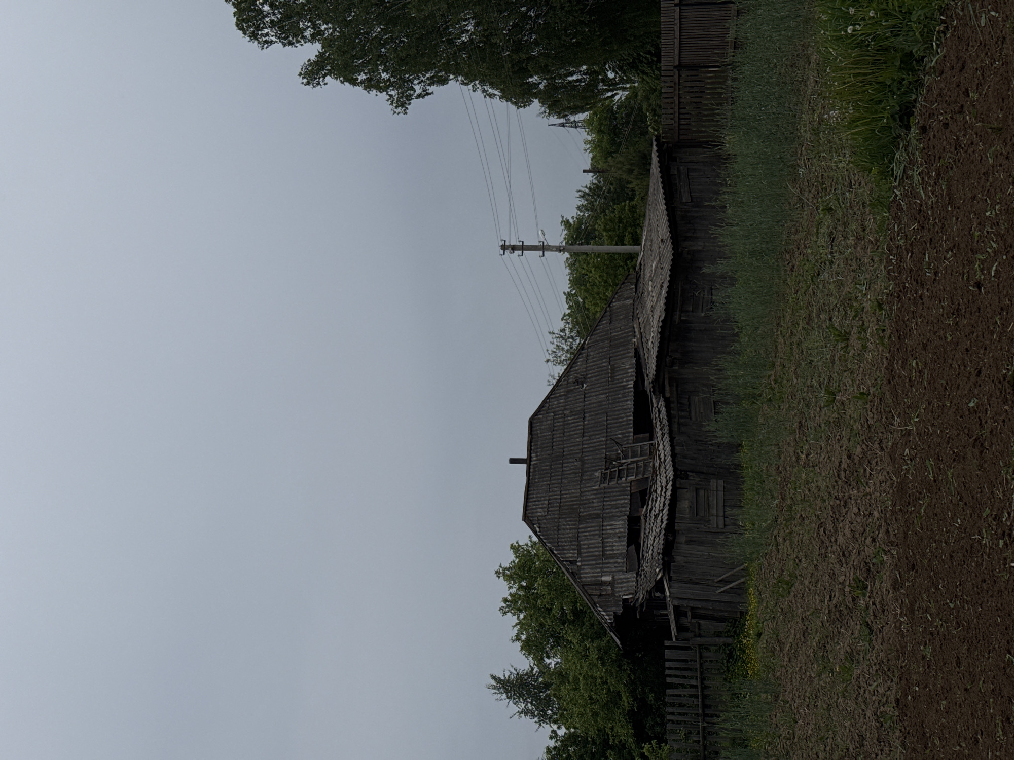The image depicts a static rural scene, likely in Бородулино, Russia, under an overcast sky. The primary subject is an old, dilapidated two-story wooden house or barn situated prominently in the midground, towards the right. The structure features dark, weathered wooden siding, some of which appears broken or missing. Its steeply pitched roof is partly covered with corrugated material and shows signs of significant damage and disrepair. A small chimney protrudes from the roof.
To the left of the house, a utility pole with multiple power lines extends upwards, with a larger, distant power pylon also visible further back. Lush green trees frame the top and left portions of the image, suggesting a wooded area behind and around the structure.
In the foreground and extending to the right, a large area of dark, disturbed earth is visible, consistent with a recently tilled field or garden plot. Patches of green grass and weeds grow along its edges and within the plot, some quite tall. A wooden fence runs parallel to the house, separating it from the cultivated land on the right, and another wooden fence is partially visible behind the house.
The sky is uniformly light gray, indicating a heavily overcast day with no direct sunlight. The scene conveys a sense of age and quiet neglect. No human figures are present, and no discernible text is visible anywhere in the image. The green foliage suggests the season is either spring or summer.