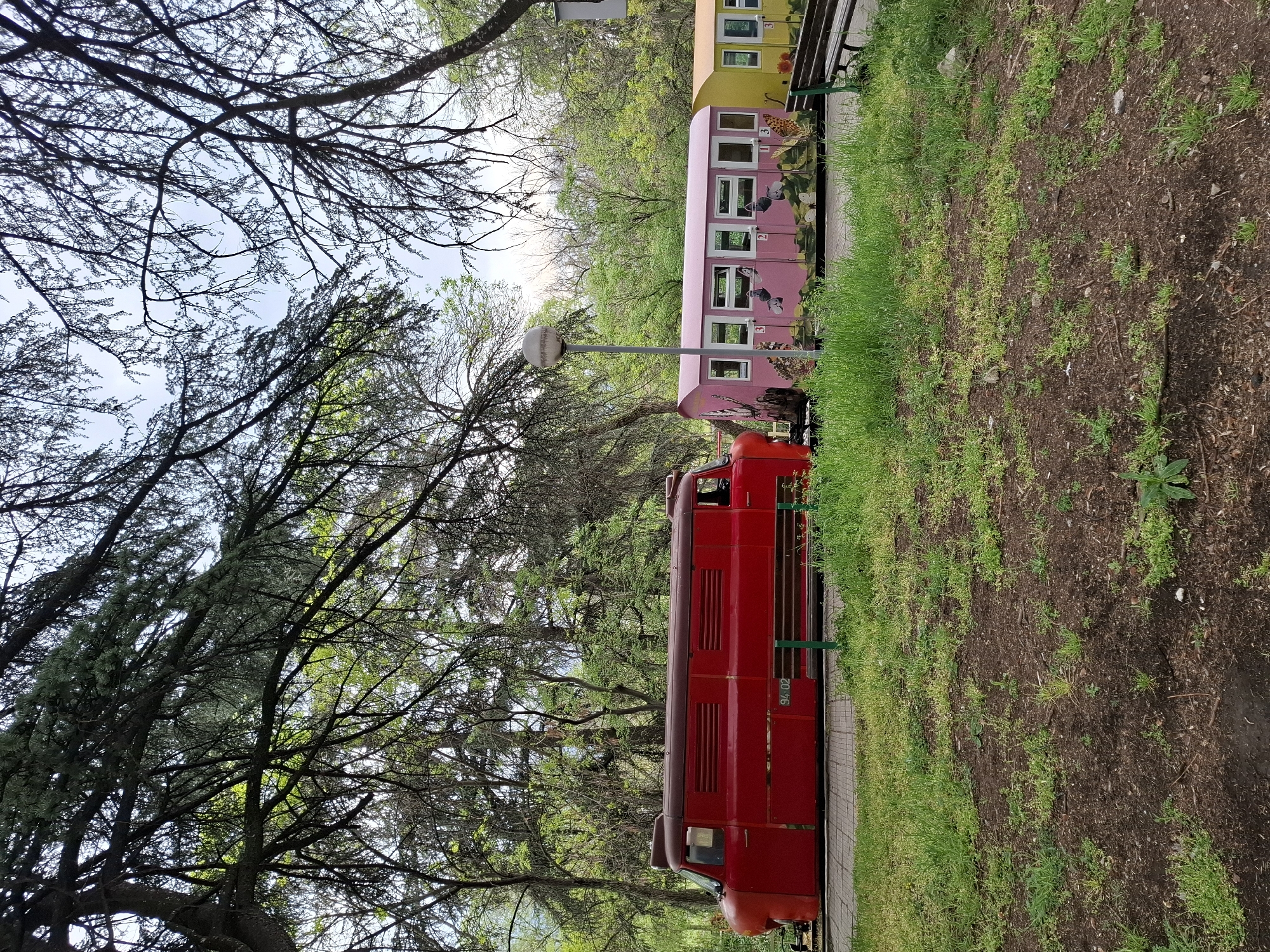 The image captures a colorful, stationary train in what appears to be a park or wooded area. In the foreground, a bright red locomotive is positioned on train tracks, facing towards the right. The number "94-02" is visible on its side. Behind the locomotive is a pink passenger carriage, adorned with painted illustrations of birds, possibly storks or cranes, and floral designs. Several windows line the side of the pink carriage, with the numbers "1," "2," and "3" visible next to some of them. Further down the track, a yellow passenger carriage can be seen, also with multiple windows and a green park bench positioned alongside it; the number "3" is also visible on this carriage.
A tall, slender grey lamp post with a spherical light fixture stands between the red locomotive and the pink carriage. The train is situated on a paved pathway next to train tracks, with patches of green grass and bare earth sloping away from the tracks.
The setting is characterized by a dense canopy of trees. On the left side of the frame, dark, intricate branches, some appearing bare, crisscross against a bright, clear sky. Towards the right and in the background, lush green foliage on other trees indicates a vibrant natural environment. The overall impression is that of a bright, sunny day, likely in the spring or summer. The train cars appear to be repurposed, possibly as a static display or part of a children's attraction within the park.