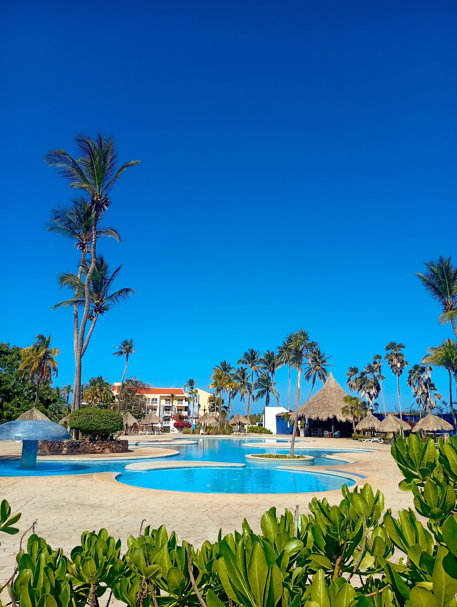 The image captures a sunny day at a resort in Playa El Agua, Venezuela. A multi-tiered swimming pool with turquoise water is the focal point, surrounded by a tan tiled deck. Several thatched-roof structures, likely bars or shaded lounge areas, dot the perimeter. Palm trees of varying heights are scattered throughout the scene, adding to the tropical ambiance. In the background, a multi-story building with a red roof is visible. Green foliage in the foreground and along the edges of the pool creates a sense of lushness. The sky is a clear, vibrant blue. There are no people in the immediate view.
