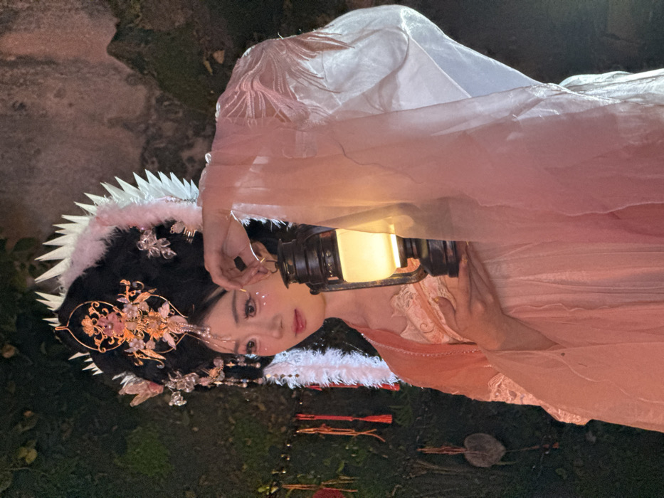 A woman in traditional Chinese attire lies on grass, holding a lantern. Her black hair is adorned with ornate gold and pink headpieces, feathers, and crystals. She wears a light pink dress with delicate lace detailing and a sheer, white, flowing shawl. The lantern illuminates her face, revealing subtle makeup and a wistful expression. The scene is softly lit, creating a dreamy, ethereal atmosphere. Red sticks and a leaf are scattered on the grass.