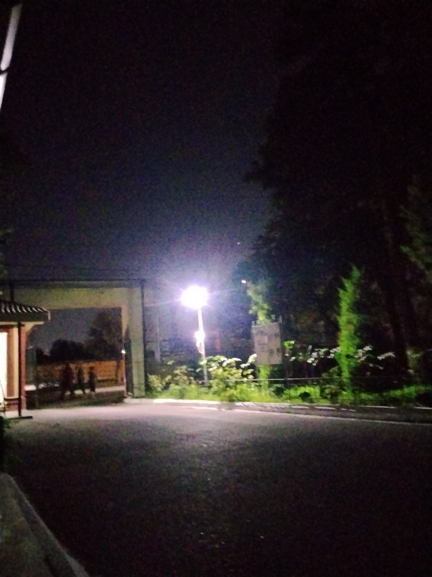 A low-light, grainy photograph captures an outdoor scene at night. In the foreground, a dark asphalt road is visible, leading towards a large, arched gateway. To the left of the gateway, a portion of a building with a sloped roof and columns can be seen. Beyond the gateway, illuminated by a bright streetlamp on the right, are several figures walking. Greenery, including trees and bushes, surrounds the area, with some illuminated by the streetlamp. The sky above is dark. The image is consistent with a street scene in the city of Tashkent, Uzbekistan, possibly near an entrance to a park or cultural site.