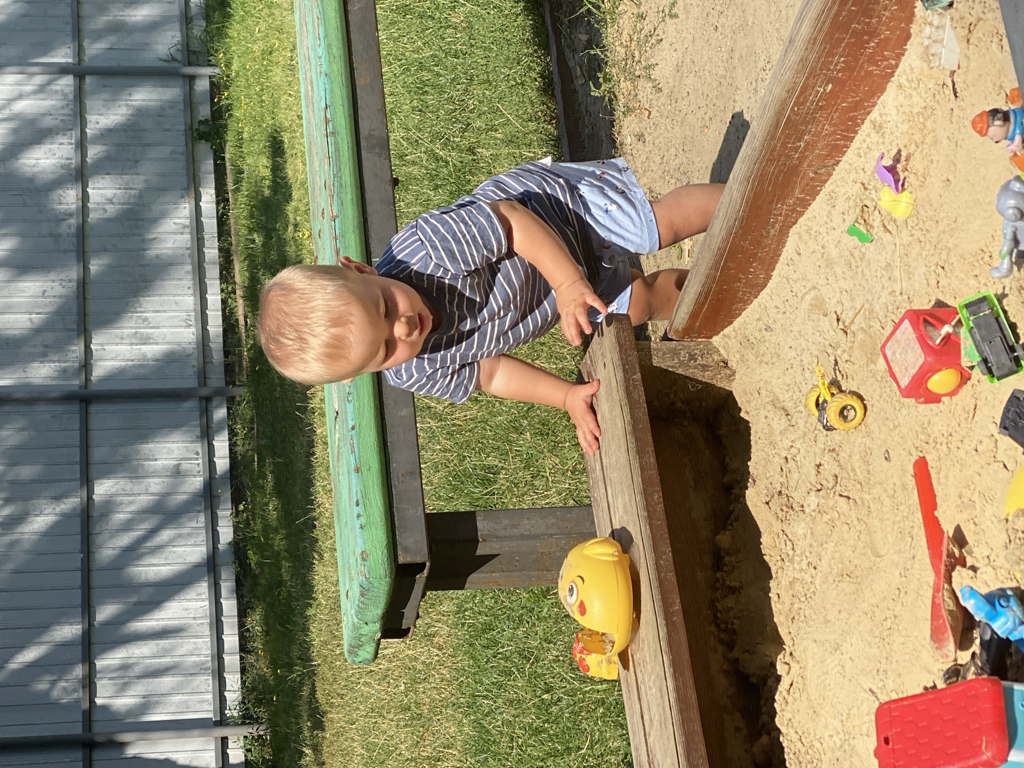 A young Caucasian child, approximately 1-2 years old, with blonde hair and fair skin, is playing in a sandbox. The child is wearing a blue and white striped t-shirt and light blue shorts with a pattern. The child is leaning on the edge of the sandbox, looking down at the sand and toys.
The sandbox itself is made of wood and filled with sand. Scattered within the sandbox are various children's toys, including a yellow duck-shaped toy, a red toy house, a red shovel, a green toy truck, and other colorful plastic pieces.
In the background, there is a wooden bench with a green painted surface, positioned behind the sandbox. Beyond the bench, there is a green grassy area and a tall, light gray corrugated metal fence. The fence is casting dappled shadows from tree branches onto its surface. The overall environment suggests an outdoor play area, possibly in a park or a backyard. The scene is brightly lit by sunlight, indicating it is daytime. The presence of the fence and the style of the bench could be indicative of a location in Poltava, Ukraine, which commonly features such public play area designs.