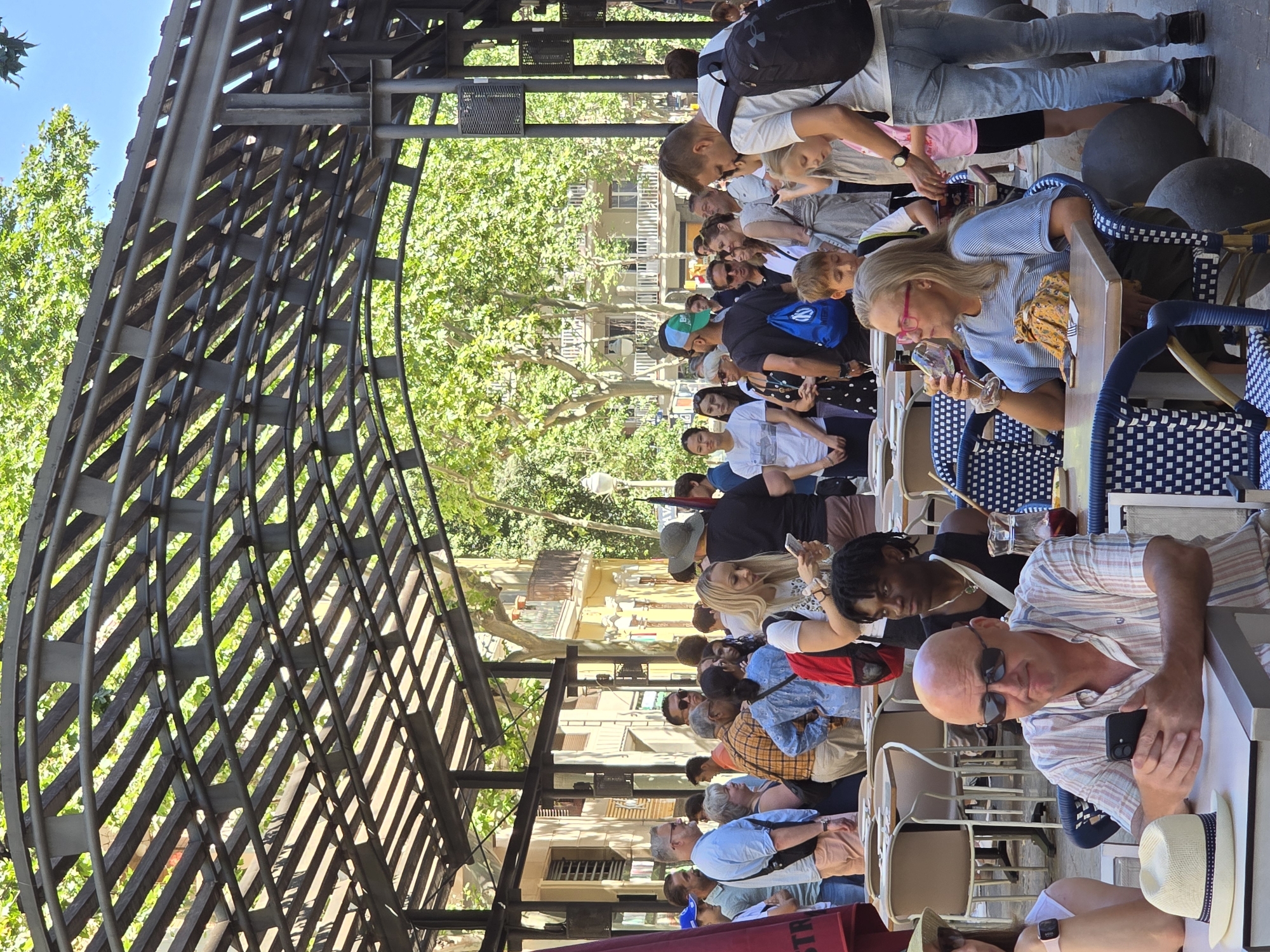 This image depicts a crowded outdoor seating area, likely a cafe or restaurant, beneath a metal pergola structure. The setting appears to be in the city of Barcelona, Spain, with the characteristic architecture of buildings visible in the background. Many people are present, some seated at tables, others standing and mingling. The atmosphere is lively, suggesting a public gathering or a busy day.
In the foreground, a bald man wearing sunglasses and a striped shirt is seated at a table, holding a smartphone. To his left, a white straw hat rests on the table. To the right, a woman with blonde hair and pink glasses is seated at another table, holding a wine glass. She is wearing a striped blue and white top and has a yellow patterned scarf on her lap.
Various individuals are scattered throughout the scene, engaged in different activities. Some are looking at their phones, while others are conversing or observing their surroundings. A child with blonde hair is standing near the woman with pink glasses, looking towards the foreground. Another child, a boy, is partially visible behind the woman.
The environment includes numerous tables and chairs with blue and white checkered cushions. The metal pergola overhead provides shade, with sunlight filtering through the gaps and casting shadows. Lush green trees are visible beyond the pergola, suggesting a warm, sunny day. The buildings in the background are typical of Barcelona, with light-colored facades and balconies. The overall scene conveys a sense of urban life and social interaction in a pleasant outdoor setting.