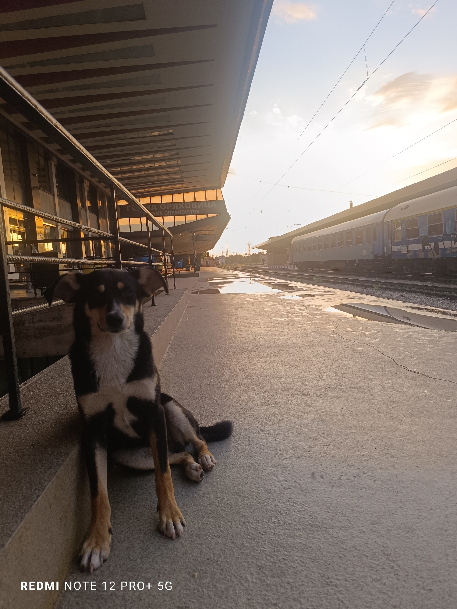 A medium, wide-angle shot depicts a dog seated on a concrete platform in Gorna Oryahovitsa, Bulgaria. The dog, primarily black with tan legs and a white chest, sits in the foreground facing forward. Behind the dog is a train station platform, with puddles visible on the concrete. In the background, a train is visible on the tracks. The light suggests it is either sunrise or sunset. The sign above the building is written in Cyrillic. At the bottom left corner, the text "Redmi Note 12 Pro+ 5G" is visible.
