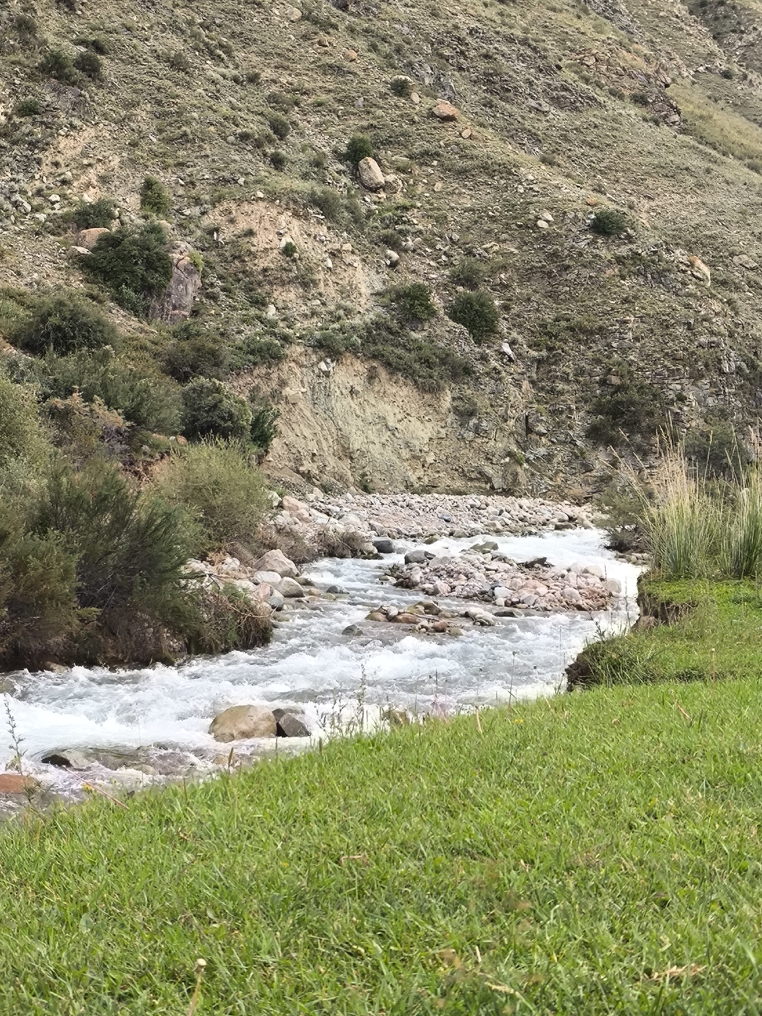 An outdoor, eye-level shot captures a flowing river in a mountainous region, likely located in Bolshevik, Kyrgyzstan. The foreground is dominated by a lush, green grassy bank, with the river occupying the mid-ground. The water appears turbulent and foamy as it rushes over a bed of smooth, light-colored stones. On the opposite bank, a rocky, sparse mountainside rises steeply, dotted with scattered green bushes and larger rocks. The sky is not visible in the frame. The scene depicts a natural, undeveloped landscape with no visible human presence or structures.