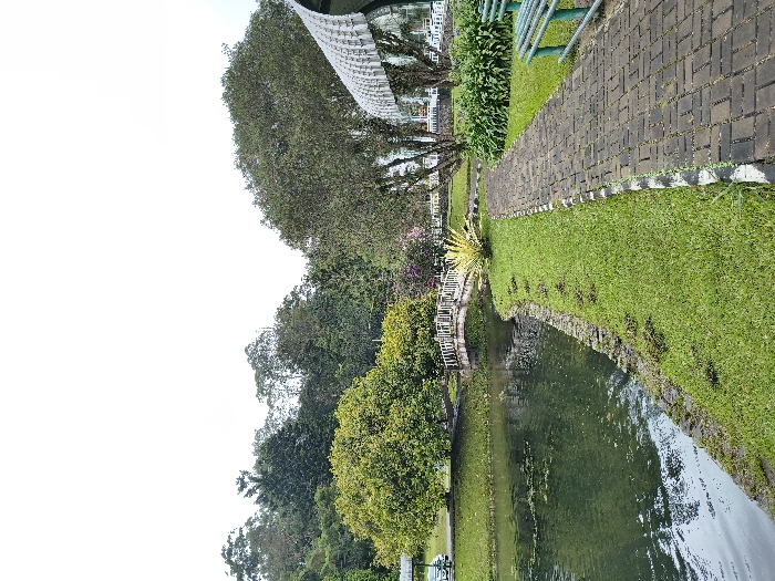 A tranquil park scene shows a serene lake surrounded by lush green grass and trees. A brick pathway winds along the water's edge, lined with grass on one side and the lake on the other. A small white bridge spans a narrow section of the lake. Tall trees provide shade. A white structure with a striped pattern is seen overhead.