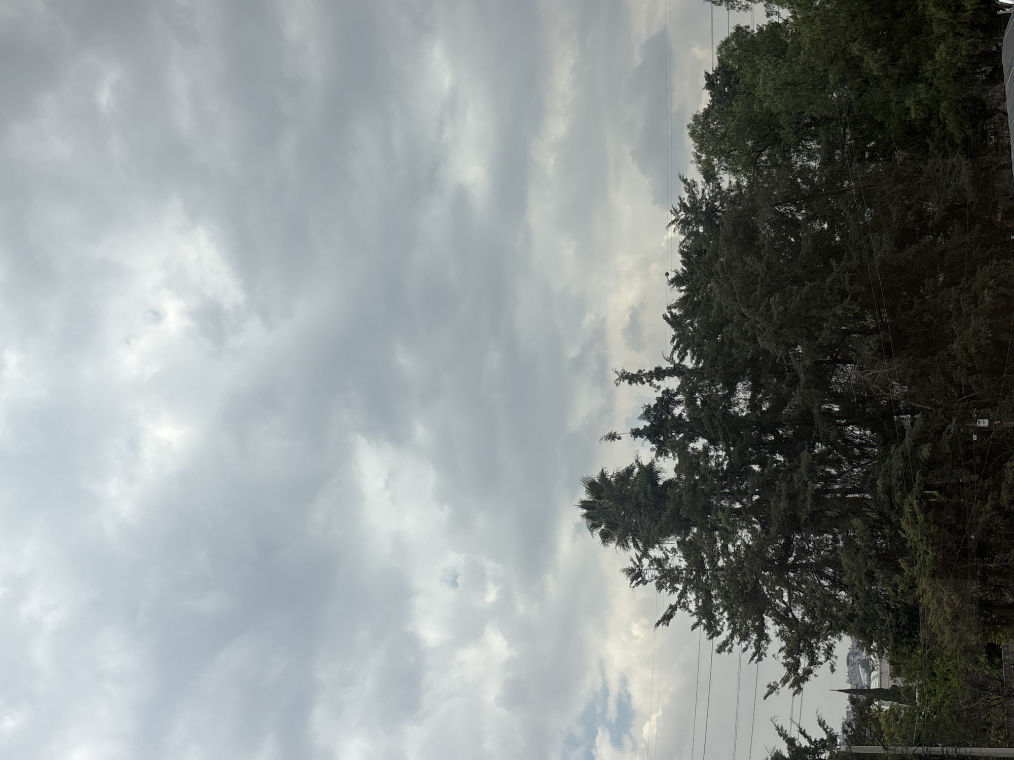 The image depicts a daytime scene, with a cloudy sky taking up the majority of the frame. The clouds are predominantly gray, suggesting overcast weather. To the right of the image, trees with dense foliage are visible, and power lines are visible crossing in front of the trees. In the distance, a white building with a pointed spire is visible among the trees. The scene appears to be a view of a park or residential area, with the sky dominating the composition. The image is likely taken in Buenavista, Mexico.