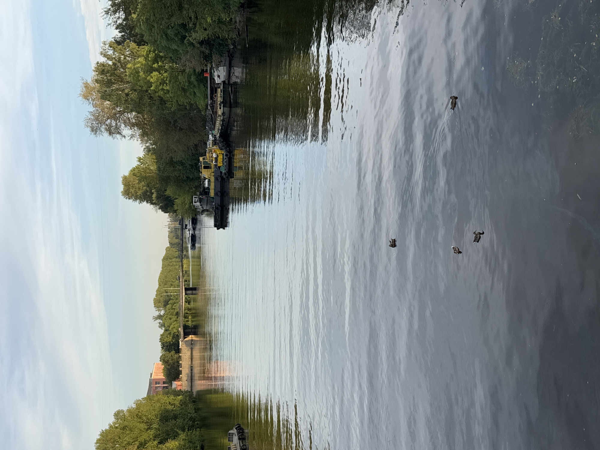 The image captures a serene river scene in Saint Petersburg, Russia, likely during a calm morning or late afternoon, given the soft lighting. The wide river, possibly the Neva River or one of its tributaries, dominates the foreground. Its surface is slightly rippled, reflecting the overcast sky and the lush green trees that line its banks.
On the left bank, a substantial pink building with a classical architectural style stands partially obscured by a dense canopy of trees. A pedestrian bridge spans the river in the distance, connecting the two sides. The right bank of the river is also densely wooded with various shades of green foliage.
Several barges and tugboats are moored along the right bank, suggesting a working port or industrial area. One yellow tugboat is particularly prominent. The boats appear to be unattended.
In the middle of the river, a small group of ducks are swimming, adding a touch of wildlife to the urban landscape. They are scattered across the water, creating small wakes as they move. The overall impression is one of tranquility and natural beauty coexisting with industrial elements within the city.