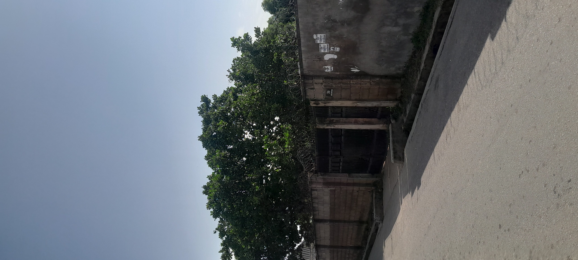 The image shows a street scene in Jalingo, Nigeria. A paved road runs diagonally from the bottom left to the bottom right of the frame, casting a distinct shadow from an unseen object on the right side of the road. To the right of the road is a tall, weathered concrete wall topped with barbed wire. The wall has a large, dark metal gate in the center. Several faded posters are affixed to the right section of the wall. A small house number, "39," is visible on a pillar supporting the gate. Behind the wall, a dense canopy of green trees is visible, partially obscuring the clear blue sky above. The overall impression is of a residential or institutional property boundary along a city street.