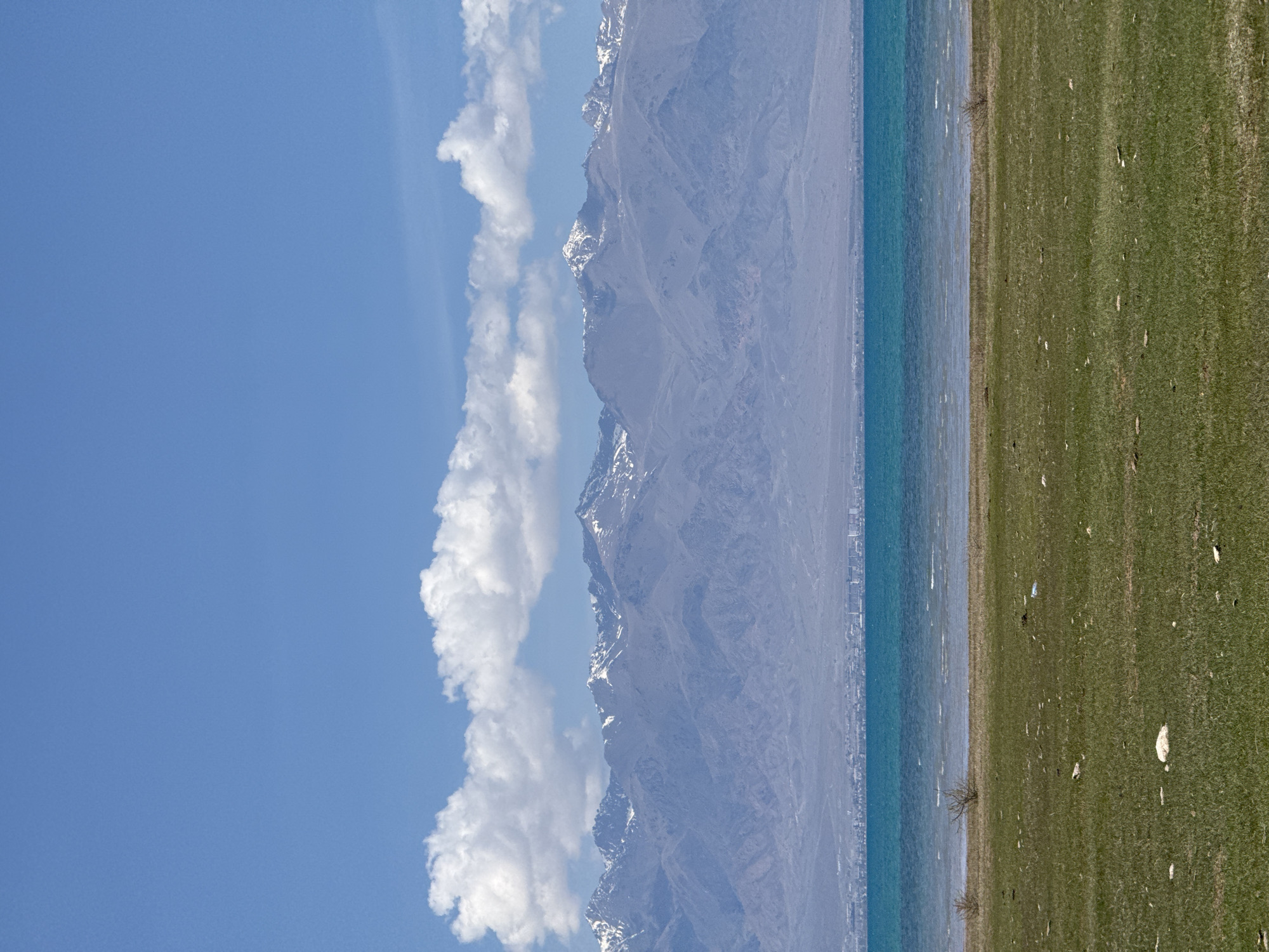 This media file captures a wide, panoramic landscape featuring a clear sky, distant mountains, a large body of water, and a grassy foreground.
The upper portion of the image displays a bright, clear blue sky with several white, fluffy cumulus clouds scattered across the left and central areas. Below the sky, a majestic range of rugged, snow-capped mountains stretches across the mid-ground. The mountains appear pale grey-blue due to distance, with prominent patches of snow on their peaks and upper slopes.
Separating the mountains from the foreground is a vast expanse of serene turquoise-blue water, indicative of a large lake or sea. The water surface appears calm, reflecting the clear sky. Along the far shore, a faint, hazy outline of what might be a distant town or settlement can be glimpsed at the base of the mountains.
The lower portion of the image is a flat, vibrant green grassy field or plain. The grass appears somewhat sparse in places, with scattered light-colored debris or small rocks visible across its surface. A few small, bare shrubs or trees are present near the water's edge on the right side.
No specific activity or event is taking place; it is a static, expansive landscape shot. The scene is illuminated by bright daylight, suggesting mid-morning or early afternoon under clear, sunny weather conditions. The overall impression is one of tranquility and natural grandeur. There is no visible text in the image. Given the context of Balykchy, Kyrgyzstan, the scene likely depicts Lake Issyk-Kul surrounded by the Tian Shan mountains.