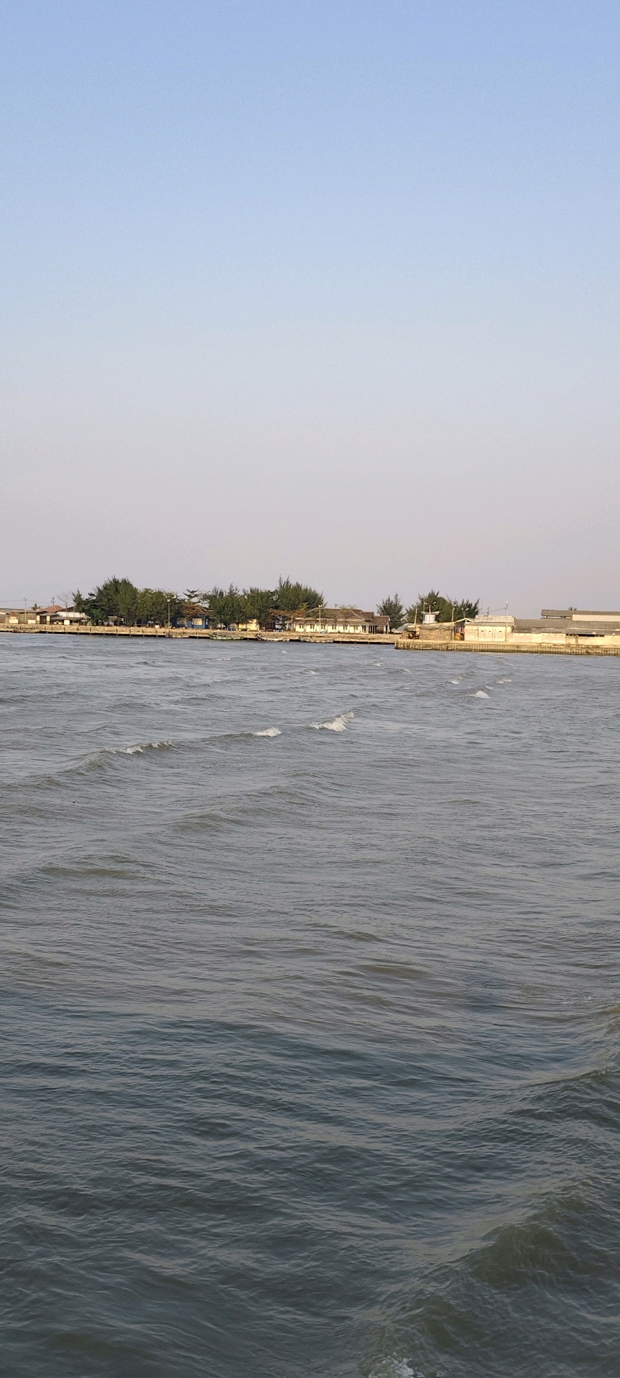 This is a vertical, eye-level, full shot photograph of the coastline of Tasikagung, Indonesia, captured during the day. The scene is dominated by the calm, gray waters of the sea, which occupy the majority of the frame. Small, white-capped waves are visible across the surface, suggesting a gentle breeze. In the background, a low-lying, built-up area lines the shore, featuring a series of low-rise buildings, some with visible white walls and roofs. These structures are interspersed with lush green trees, primarily pine trees with their characteristic conical shape. A concrete embankment or pier runs along the edge of the land, separating the water from the buildings. The sky above is a pale, clear blue, transitioning to a lighter hue near the horizon. There are no people or animals visible in the frame. The overall impression is one of a peaceful, coastal settlement.