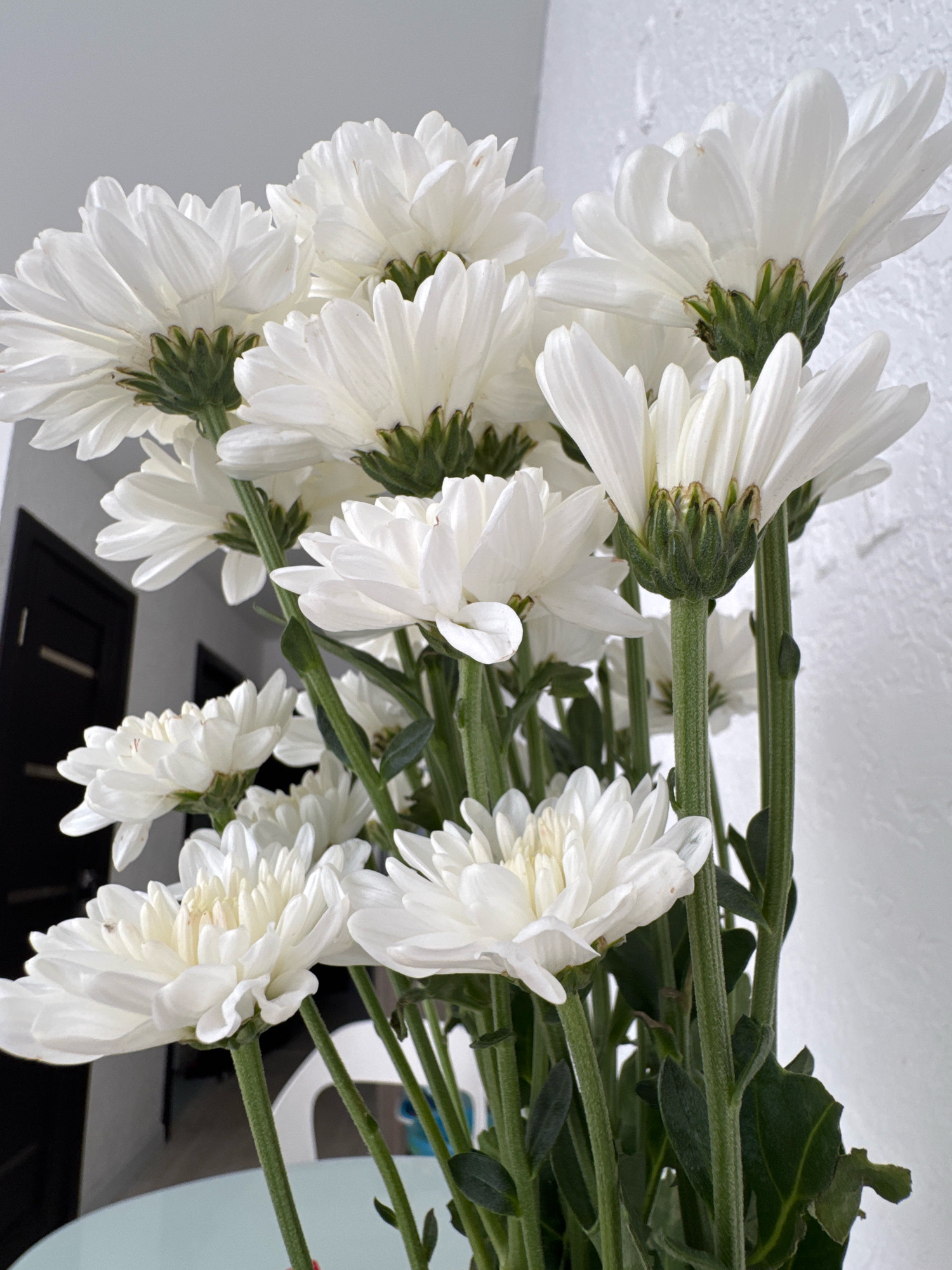 A close-up shot captures a bouquet of white chrysanthemums. The flowers are densely packed, with many blooms filling the frame. Their white petals are delicate and layered, creating a soft, textured appearance. Green stems and leaves are visible, providing a contrast to the white flowers. The background is a lightly textured white wall and a dark doorway. The lighting appears to be natural, casting soft shadows. No people or specific landmarks are visible, and there is no indication of the city of Ufa, Russia.