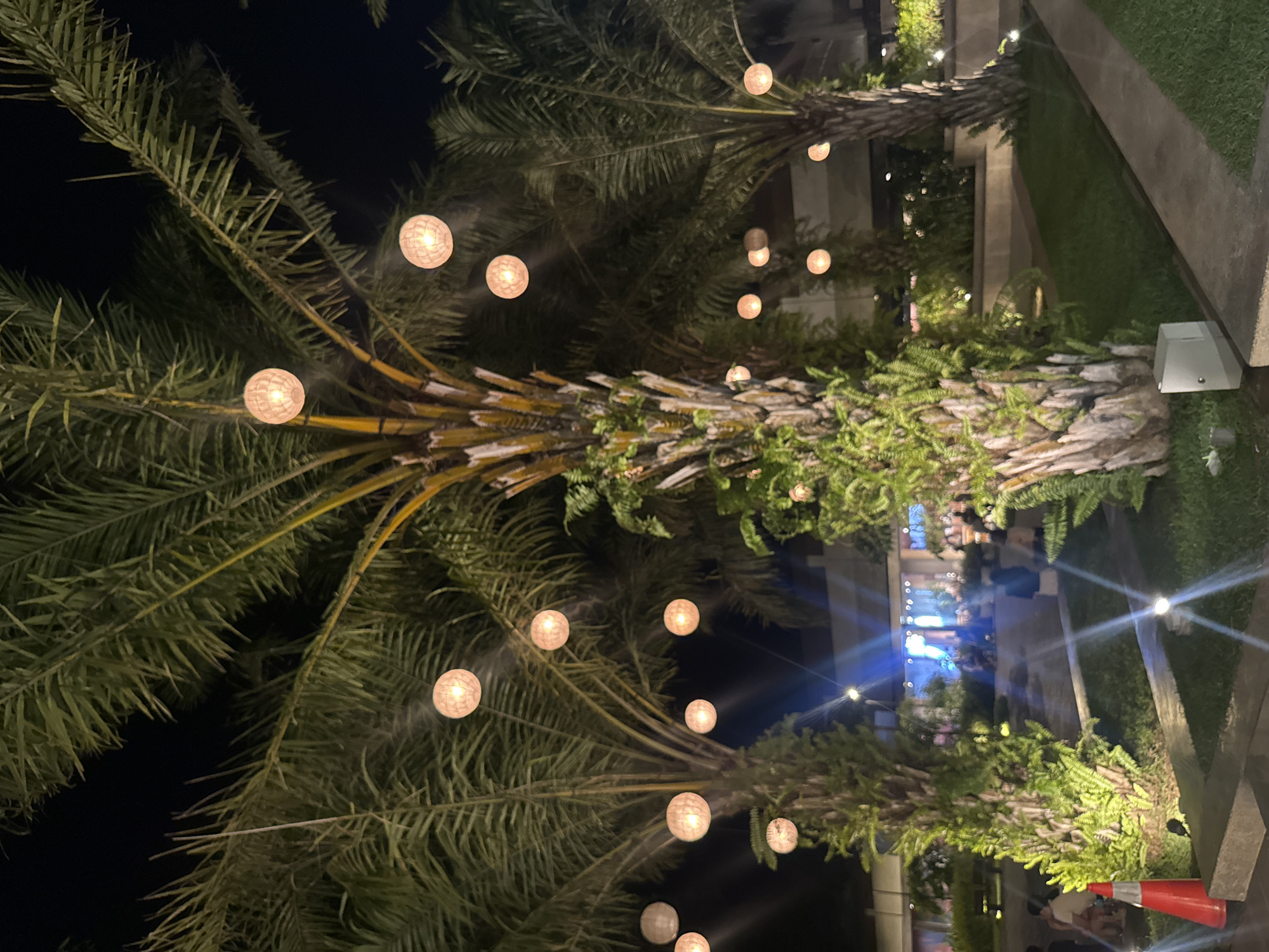 This image captures a nighttime outdoor scene in Davao City, Philippines, characterized by illuminated tropical landscaping. The foreground features manicured grass, concrete pathways, and several large palm trees.
On the left, an orange traffic cone rests on a concrete surface near a patch of bright green shrubbery, which is illuminated by a hidden ground-level light source. Adjacent to it, the sturdy, textured trunk of a palm tree is visible, partially obscured by more green foliage. A similar palm tree dominates the center-left, with ferns or similar plants growing around its trunk, also lit from below. A light-colored electrical box is positioned on the grass to the right of a concrete pathway in the lower right foreground.
Multiple large palm trees, possibly date palms, are distributed throughout the mid-ground and extend into the background. Approximately 15 to 20 spherical, woven-texture lanterns are suspended from the fronds of these palm trees, emitting a warm, uniform light. The sky above is dark.
In the mid-ground and background, several indistinct human figures are visible, appearing to be seated or standing in a social setting. They are not engaged in any specific discernible actions. The background shows a brightly lit area, possibly an event space or building facade, featuring blue and white lights that produce prominent lens flares across the lower half of the image. An additional overhead light source in the distance also contributes to lens flare effects. The overall environment suggests an evening gathering or leisure area within a landscaped setting.