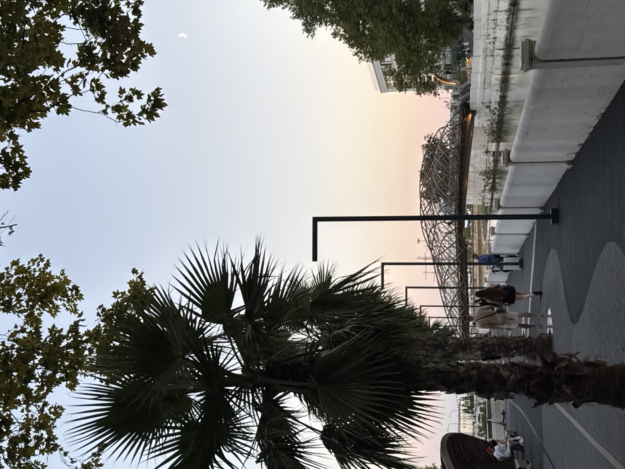 The image depicts a waterfront promenade in Sochi, Russia, likely near the Sochi Discovery World Aquarium, as indicated by the architectural style of the bridge and surrounding modern buildings. The scene captures a twilight ambiance, with the sky transitioning from pale blue to soft pink hues near the horizon.
In the foreground, several palm trees are prominently featured, their fronds silhouetted against the sky. A paved walkway with a wave-like pattern curves through the scene, lined with modern streetlights.
A young couple is walking away from the camera on the promenade, the woman in a black skirt and the man in light-colored shorts and a t-shirt. Further in the background, on a bench, two individuals are seated, one wearing a red cap.
The promenade overlooks a tranquil river or canal, bordered by a white, concrete wall with decorative square posts. In the middle distance, an intricately designed, arched bridge spans the waterway, with people visible crossing it. Beyond the bridge, modern buildings rise, some illuminated with soft, warm lights, adding to the serene evening atmosphere. The branches of deciduous trees frame the top of the image, suggesting a touch of nature within the urban setting. A crescent moon is faintly visible in the upper right quadrant of the sky.