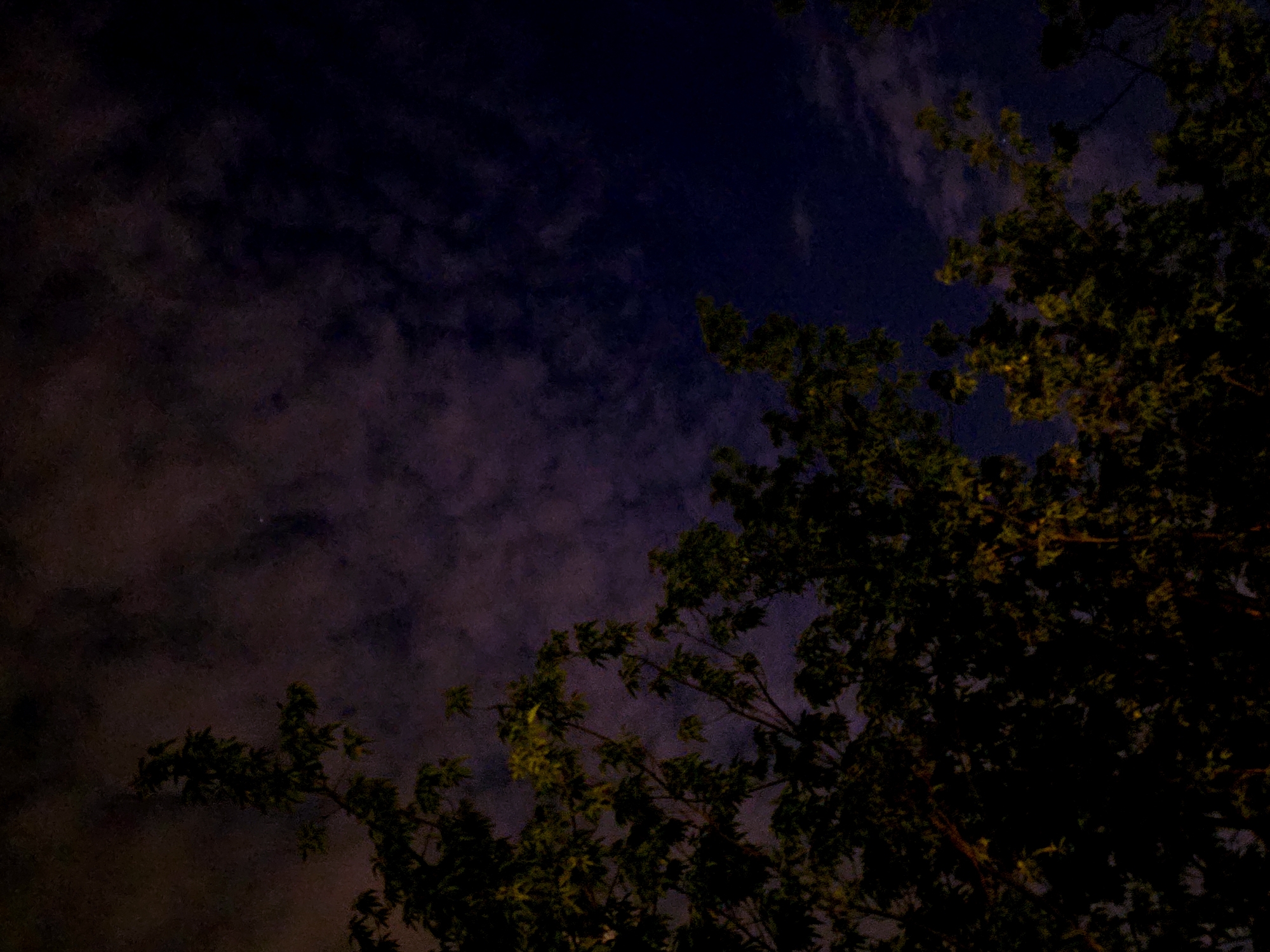 The image depicts a night sky with trees in the foreground. The sky is a mix of dark blue and purplish hues, suggesting either twilight or a night sky with clouds. There are hints of light passing through the clouds. In the lower and right portions of the image, branches and leaves of trees are visible. Their green foliage is subdued by the darkness, making them appear nearly black. The scene's location is undetermined. There are no people present in the image.