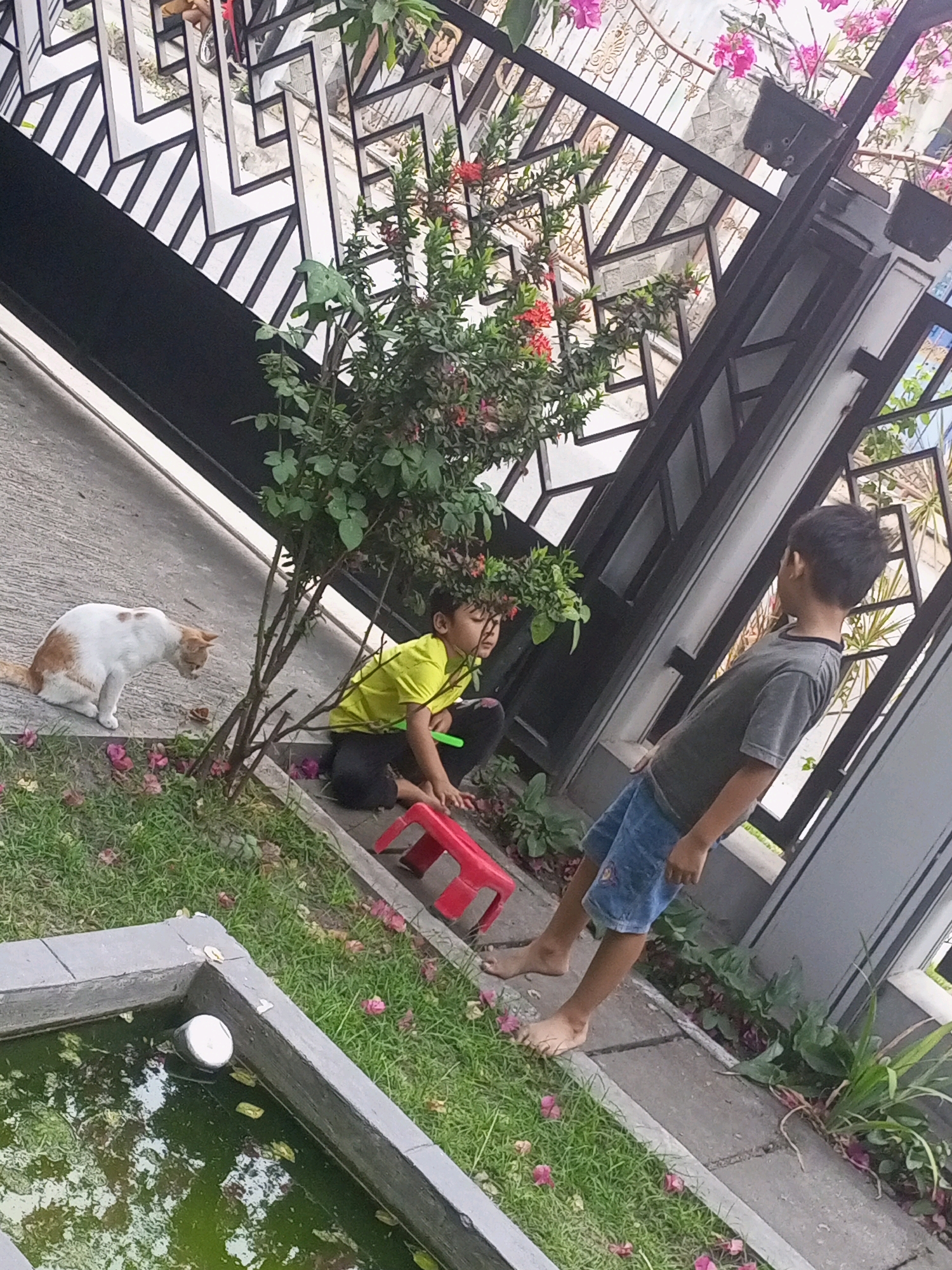 In the city of Ngasem, Indonesia, an outdoor scene unfolds near a black metal fence with a geometric pattern. Two boys are present. One boy, wearing a yellow t-shirt and dark pants, is crouching on the ground. He is holding a green object, possibly a toy. Next to him is a red plastic stool. A white and orange cat is sitting on the asphalt, looking down. Behind the boys, a plant with green leaves and red flowers is visible. A young boy in a grey t-shirt and denim shorts stands looking away from the camera, his bare feet on the concrete. In the foreground, a rectangular concrete structure, potentially a pond, is filled with murky green water. Green grass and fallen pink flowers are scattered around the scene.