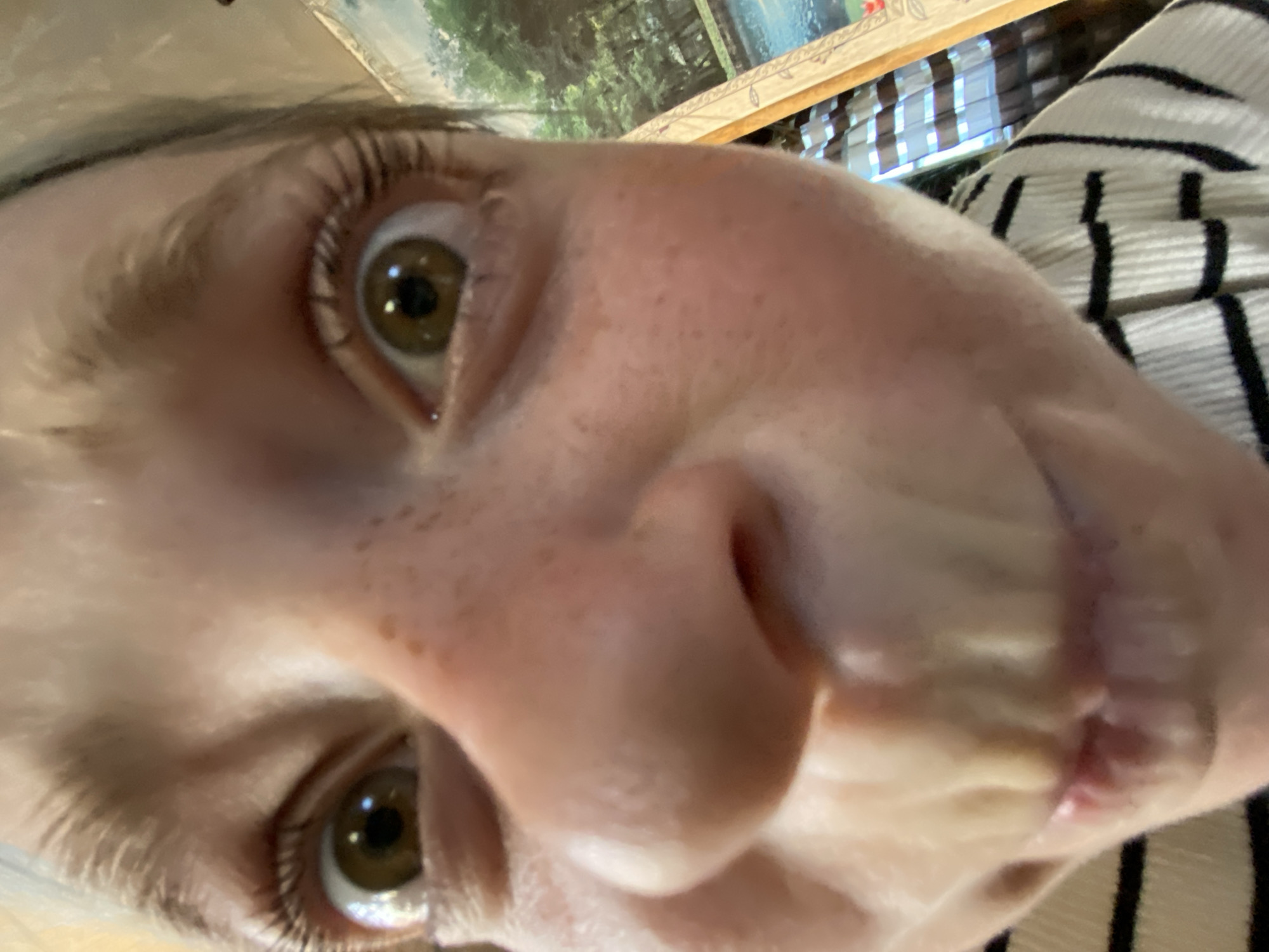 This is a close-up, Dutch angle, low-angle, eye-level, horizontal shot of a person's face. The subject is a person with light skin and freckles. The visible features include one eye, part of the nose, and the mouth area. The eye is open and has light brown irises with dark pupils. The eyelashes are dark and prominent. The nose appears to be small with visible pores and light coloration. The mouth area shows a slight smile or pursed lips, with the lower lip appearing slightly redder than the surrounding skin. The background is blurred, but hints of what appears to be a framed picture with foliage and a body of water can be seen. To the right, striped fabric, possibly clothing, is visible. The lighting suggests an indoor setting, possibly with natural light entering from the right. No specific time of day or weather conditions are discernible. The overall tone of the image is casual and personal, focusing on a facial close-up. There is no visible text in the image. The location context of Nova Praha, Ukraine, does not provide any specific visual cues within the image itself.