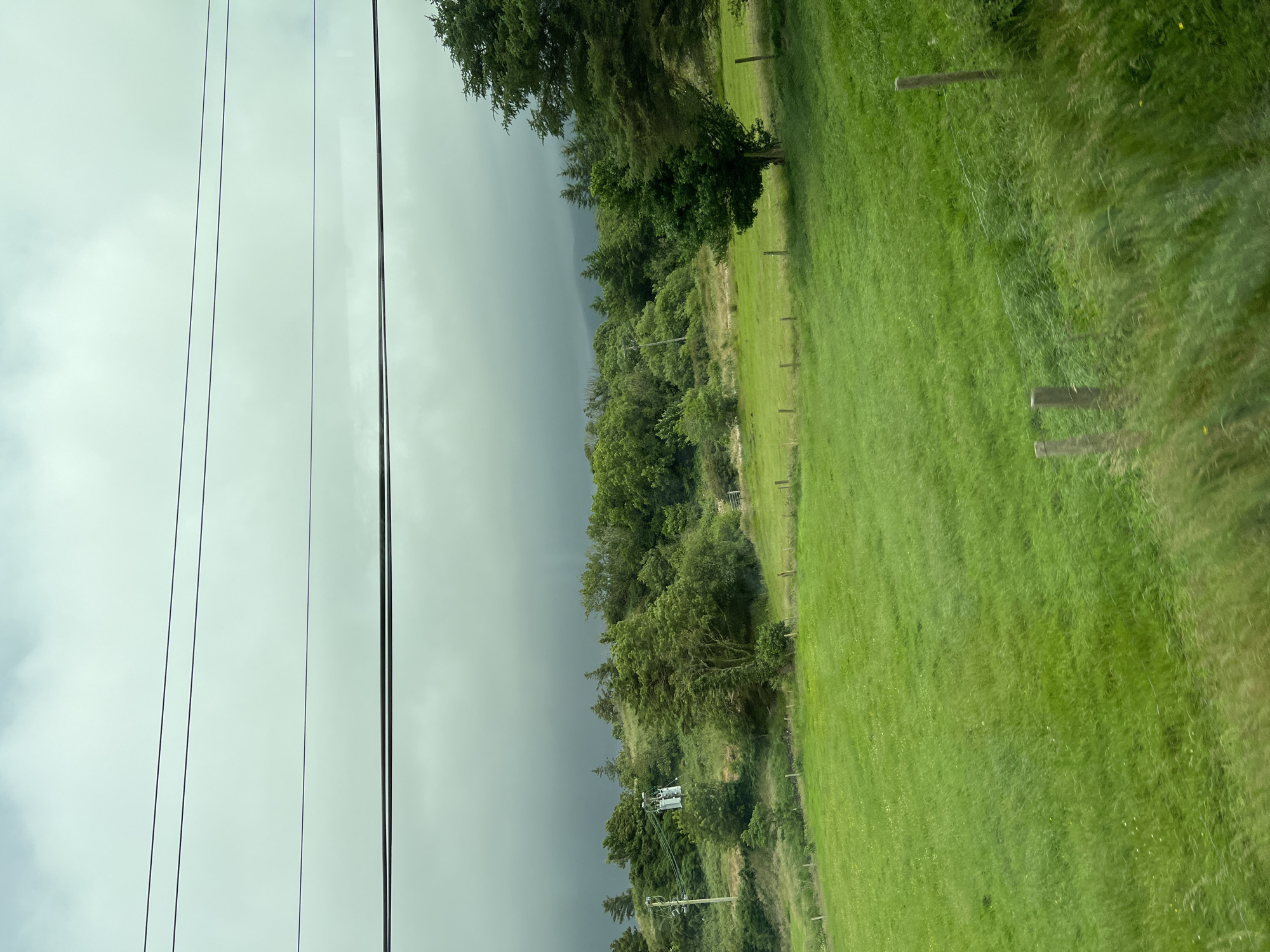 This is a photograph of a landscape in Bedlam, Ireland. The image is oriented vertically, with the top of the frame on the left. The scene features a contrast between a dark, stormy sky on the left and a bright, grassy field on the right. Several power lines stretch vertically across the left side of the frame, dividing the sky from the land.
The land on the right is a vibrant green, consisting of a well-maintained pasture with scattered wooden fence posts. The grass appears tall and somewhat windswept, suggesting a breezy day. In the mid-ground, a line of lush green trees separates the grassy field from the stormy sky. A power pole with electrical equipment is visible among the trees. Further into the distance, the sky darkens significantly, indicating approaching rain or a storm.
The time of day is not clearly discernible due to the overcast and stormy conditions. The weather appears to be unsettled, with a storm looming in the distance. The setting is rural, characterized by open fields, trees, and essential infrastructure like power lines and poles. There is no visible text in the image. The overall mood of the image is one of transition, with the pleasant, sunlit field giving way to the dramatic atmosphere of an impending storm.